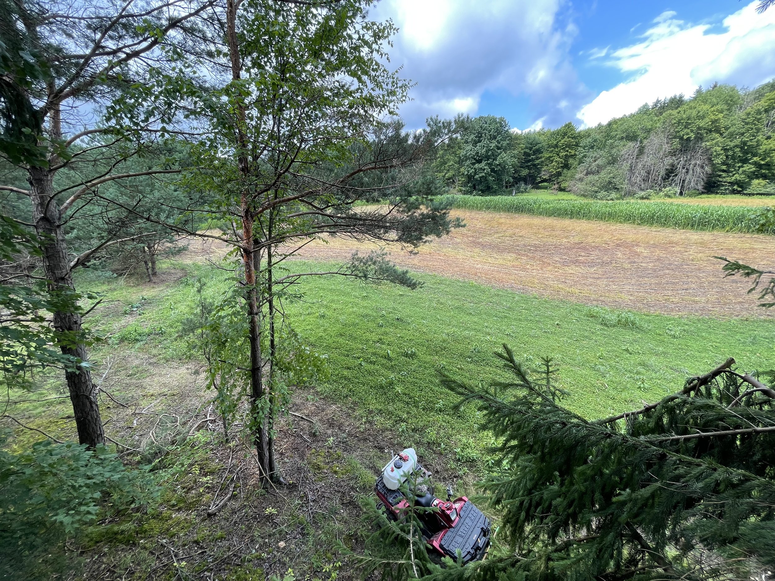 food plot planting dates