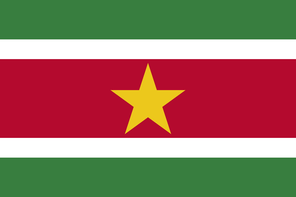 Flag_of_Suriname.svg-1.png