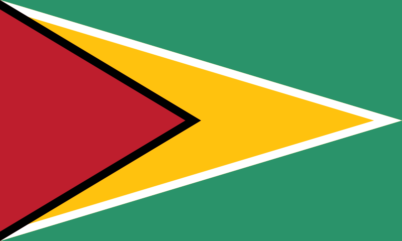 Flag_of_Guyana.svg-1.png