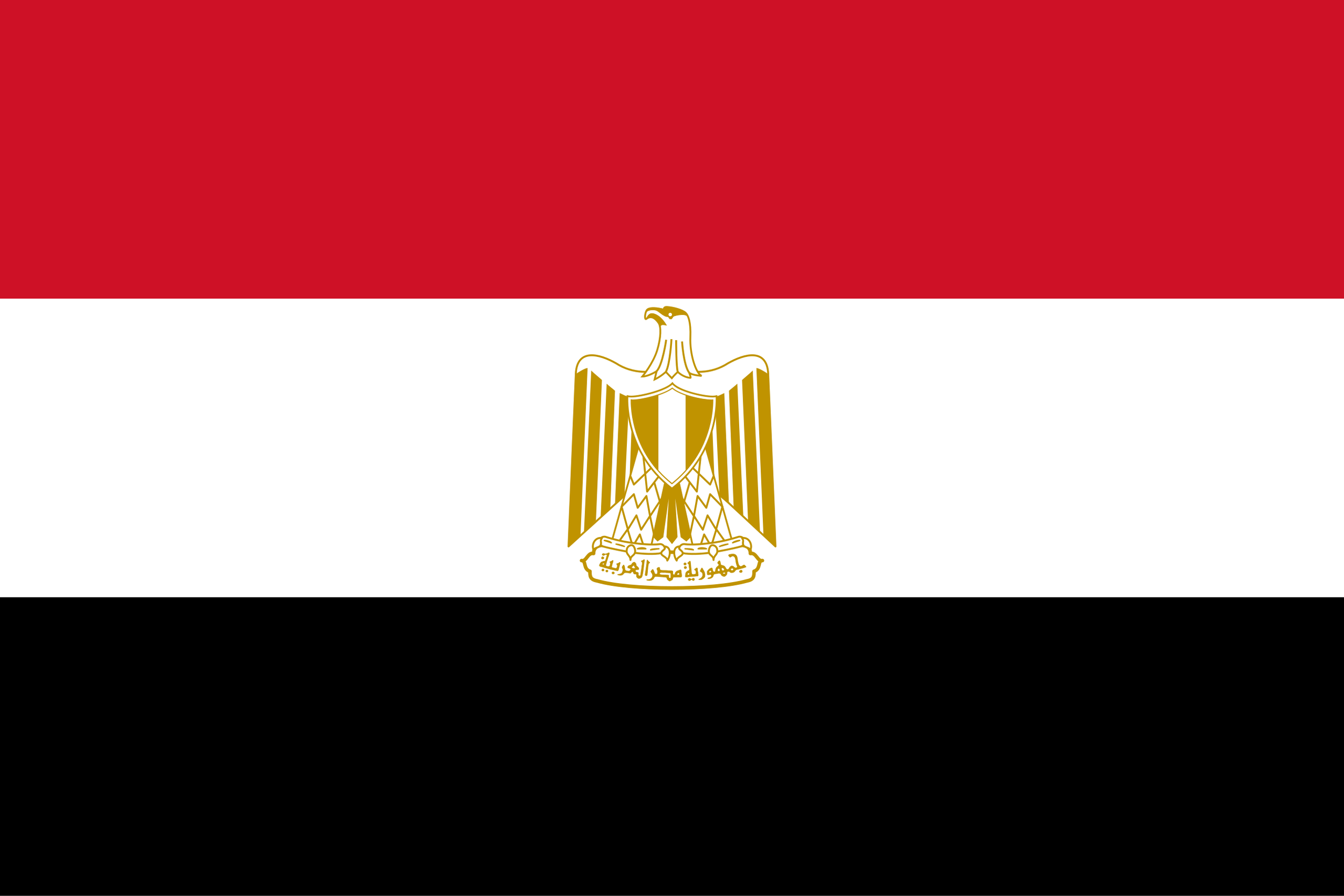 Flag_of_Egypt.svg-1.png