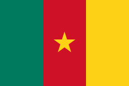 Flag_of_Cameroon.svg.png