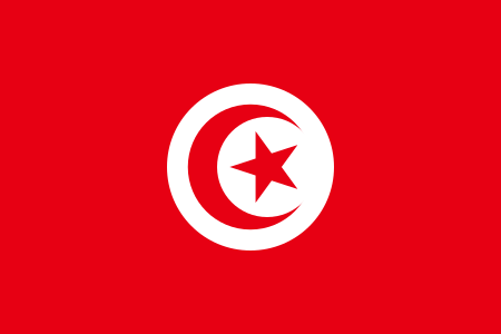 Flag_of_Tunisia.svg.png