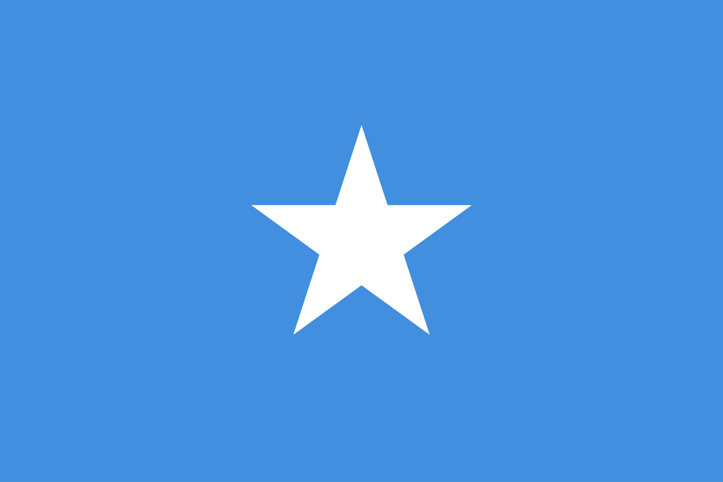 Flag_of_Somalia.svg.png