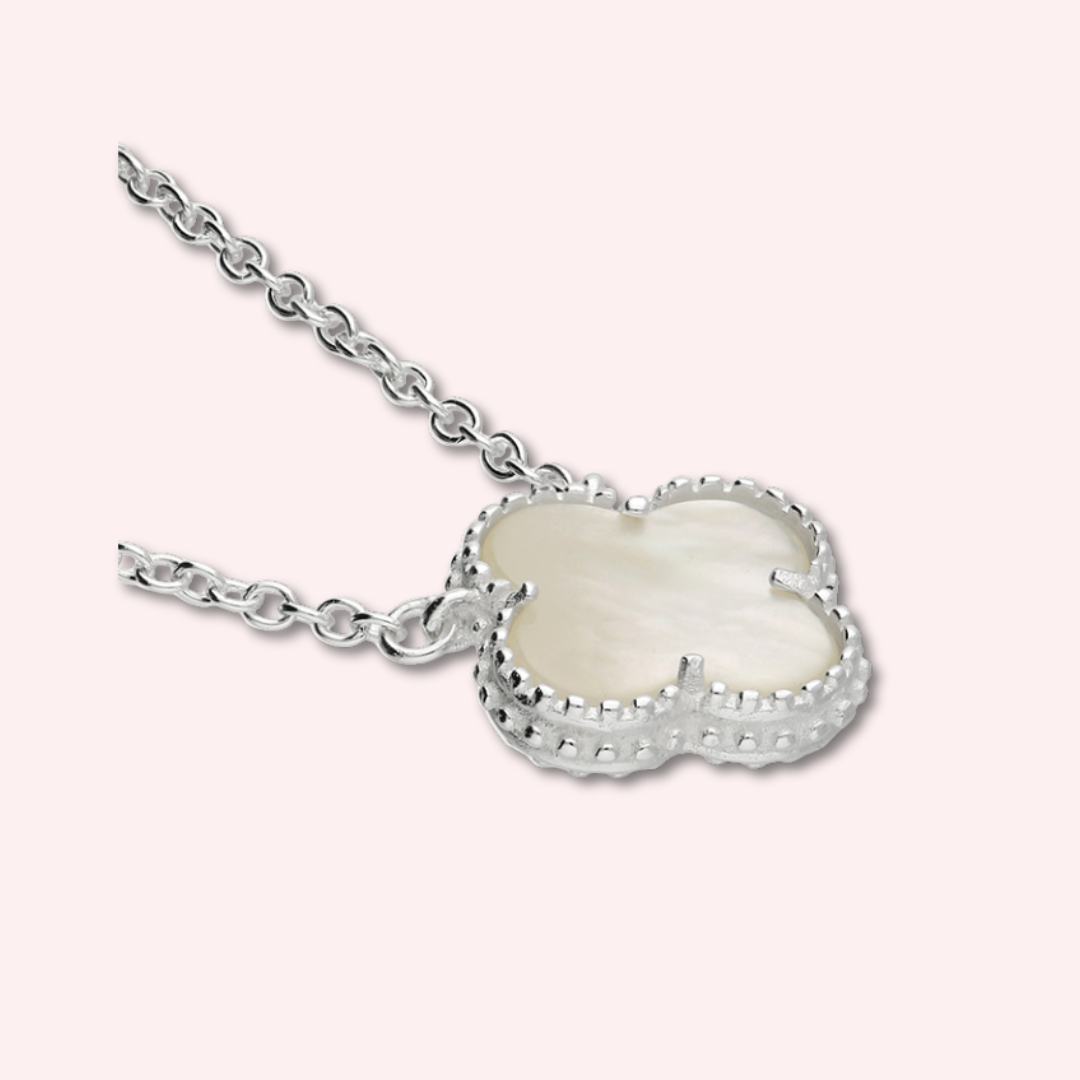 Untitled design - 2026-02-18T164702.008.png