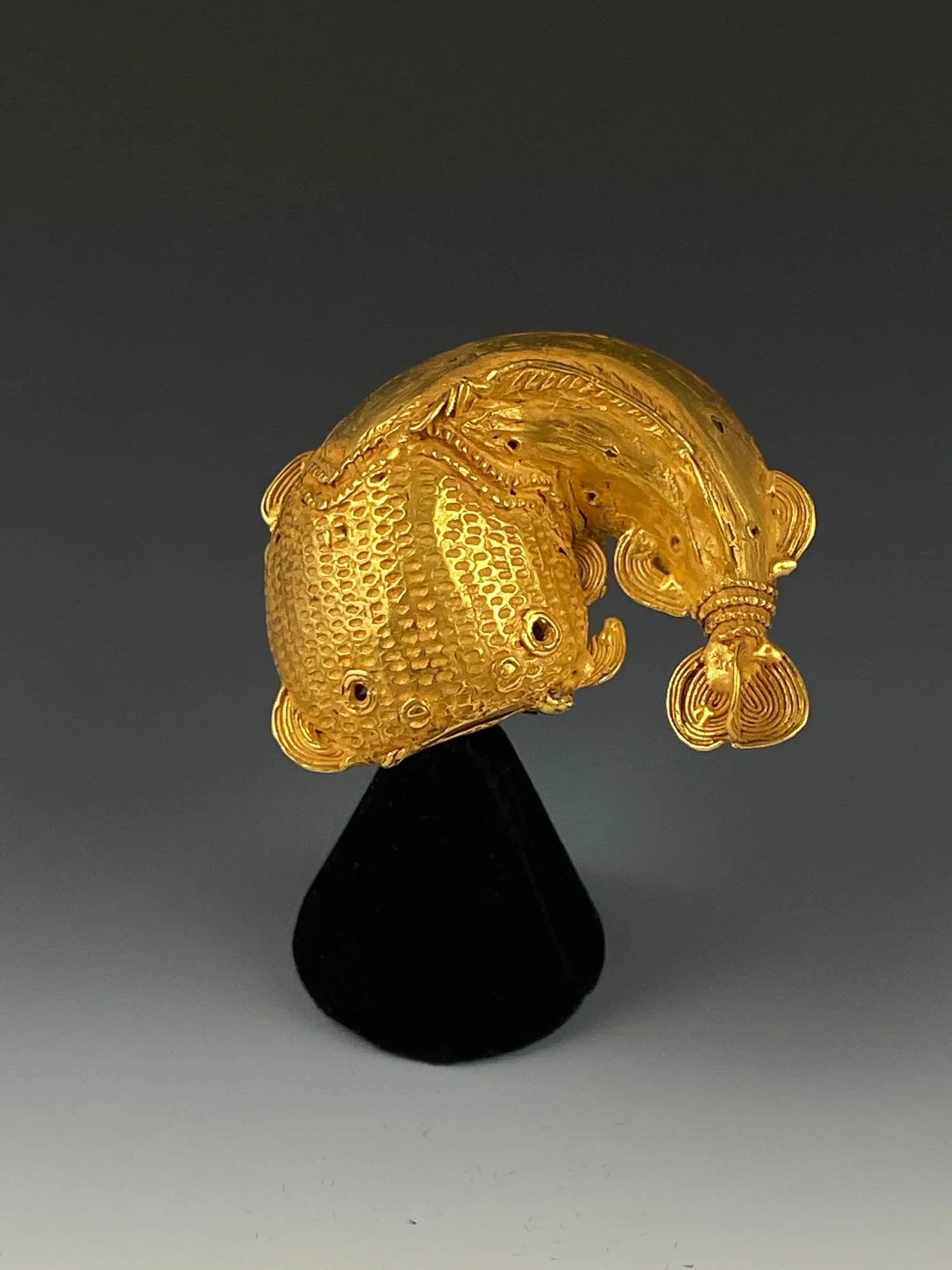 Akan chief's ring "mpetea" with a mudfish motif, Ghana. Cast gold alloy 0,570 (13,68 carat), weight: 25,8 g, H: 5,2 cm; W: 5,6 cm; D: 1,7 cm, H: 2,0 inch; W: 2,2 inch; D: 0,7 inch. Associated proverb: "When the mudfish swallows anything, it does so f