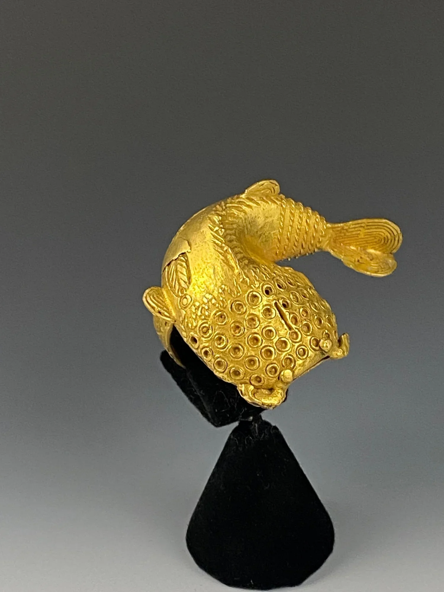An Akan chief’s ring “mpetea” in the form of the mudfish. Ghana. Cast Gold alloy, H: 4,3 cm; W: 5,5 cm; D: 2 cm, H: 1,7 inch; W: 2,2 inch; D: 0,8 inch. I particularly like the head pattern on this example. Associated proverb: "When the mudfish swallo