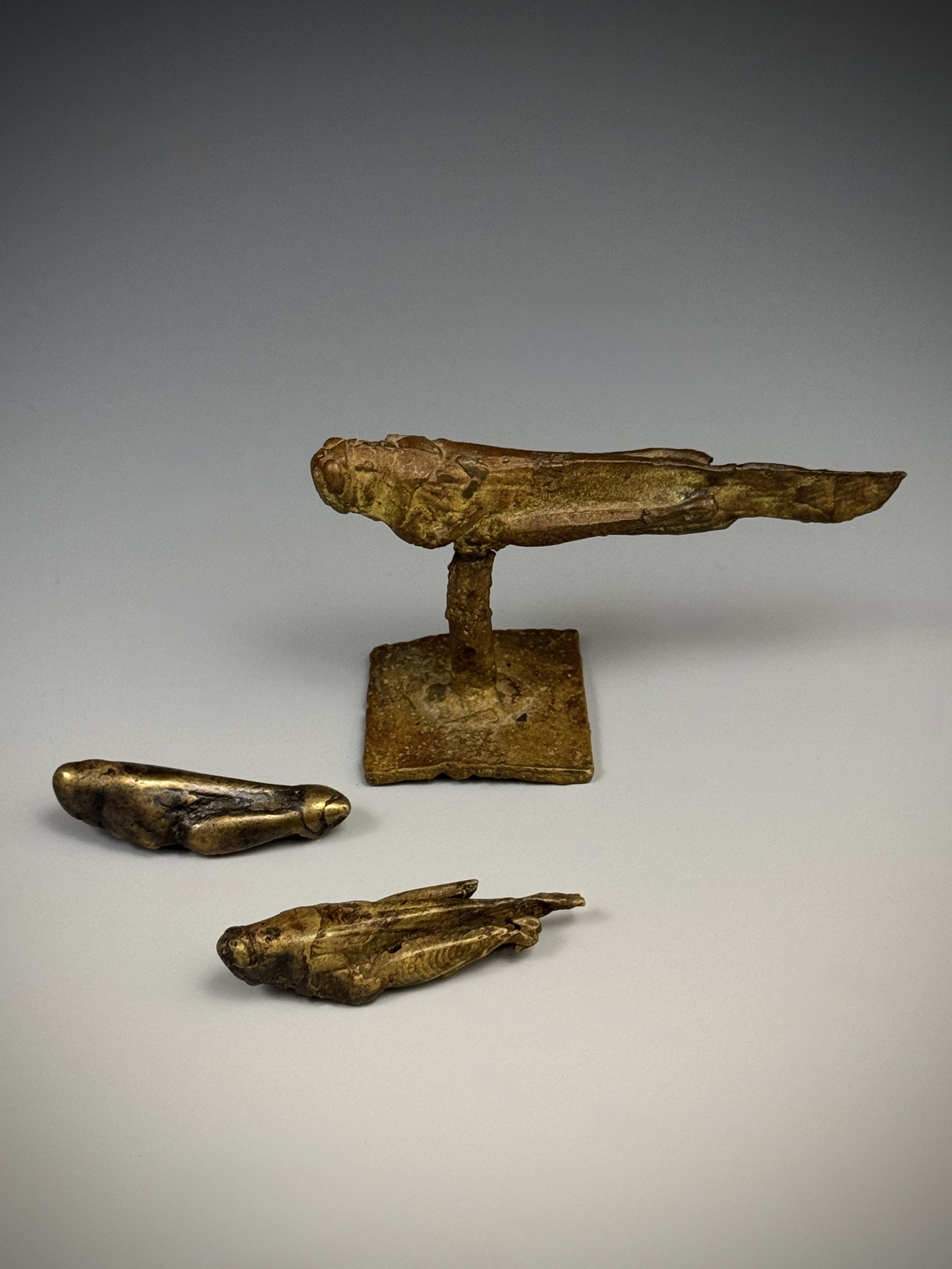 Three Akan gold weights of Locusts (grasshoppers).