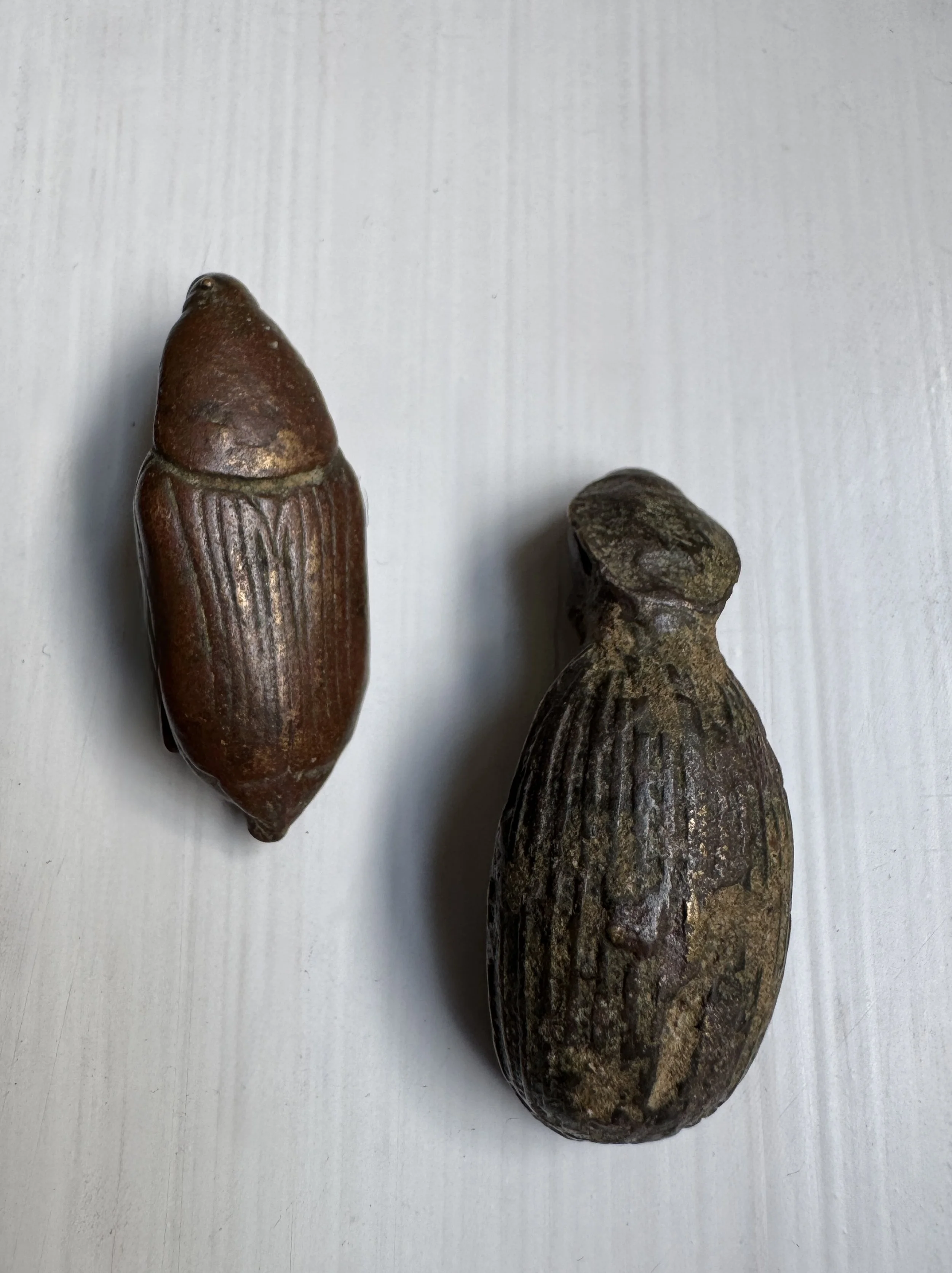 Two Akan gold weights of two different types of beetles cast directly from nature.  In the collection, there are three commonly seen types of beetles.  Ex Washington, D.C. collection.