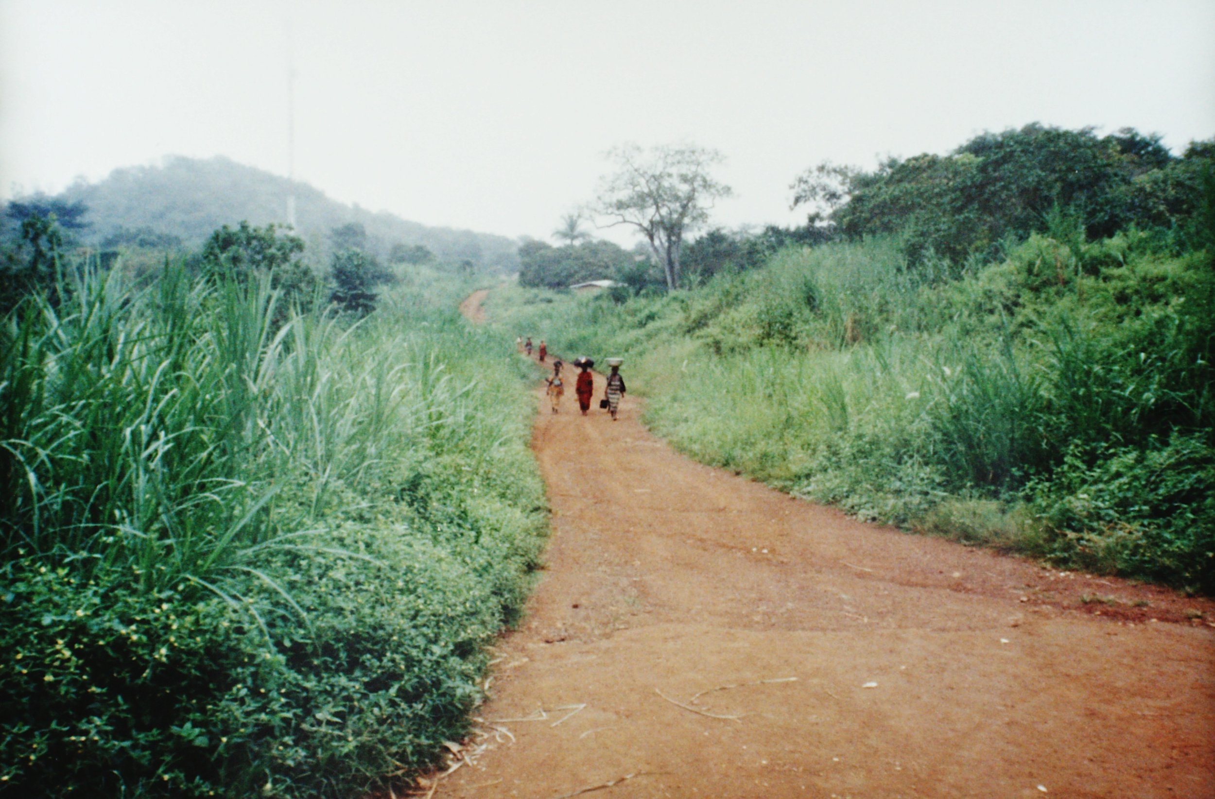 The road to Essikro, Côte d'Ivoire 1999