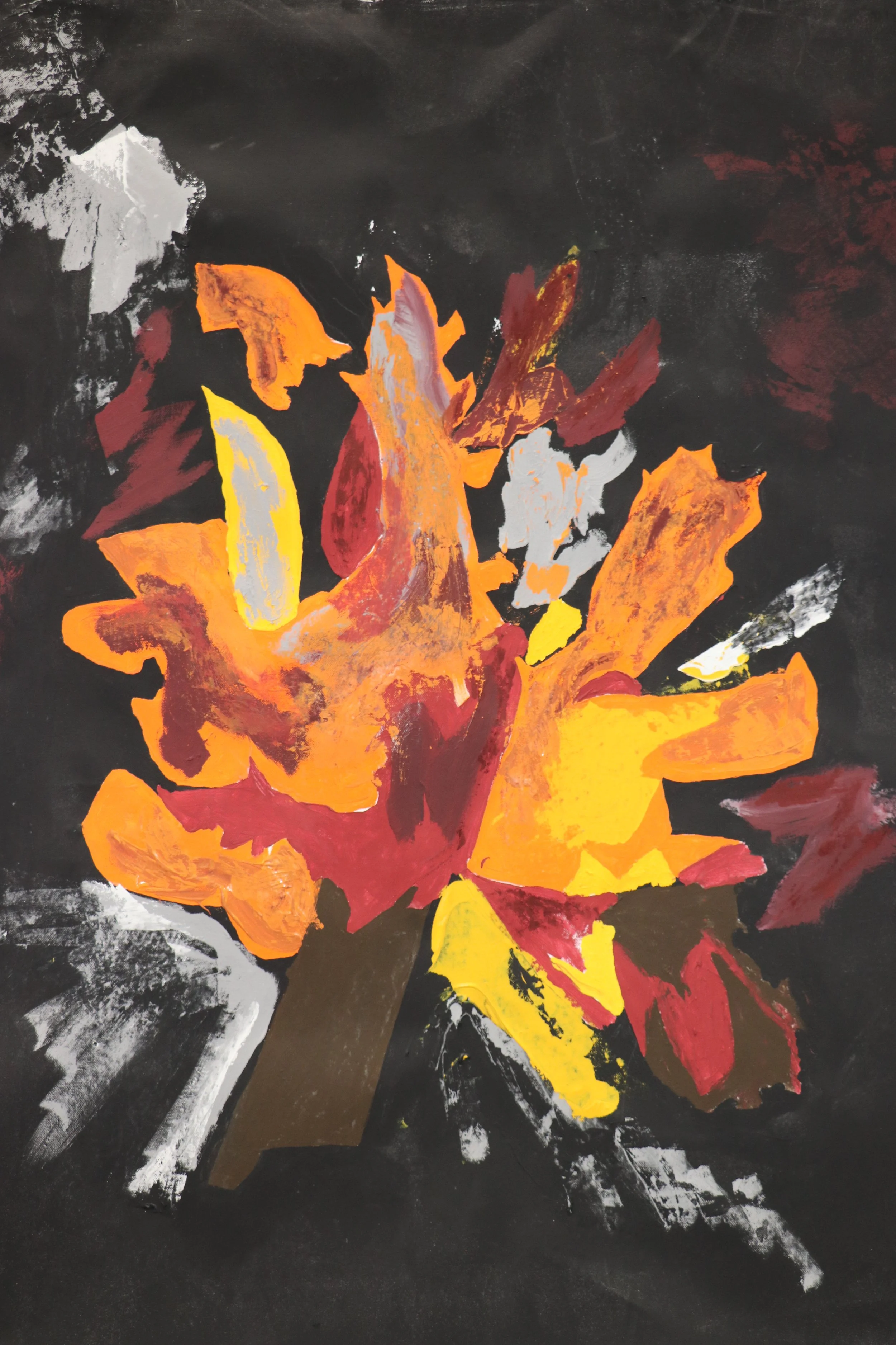 Ogya ne Sika Kɔkɔɔ Adaka