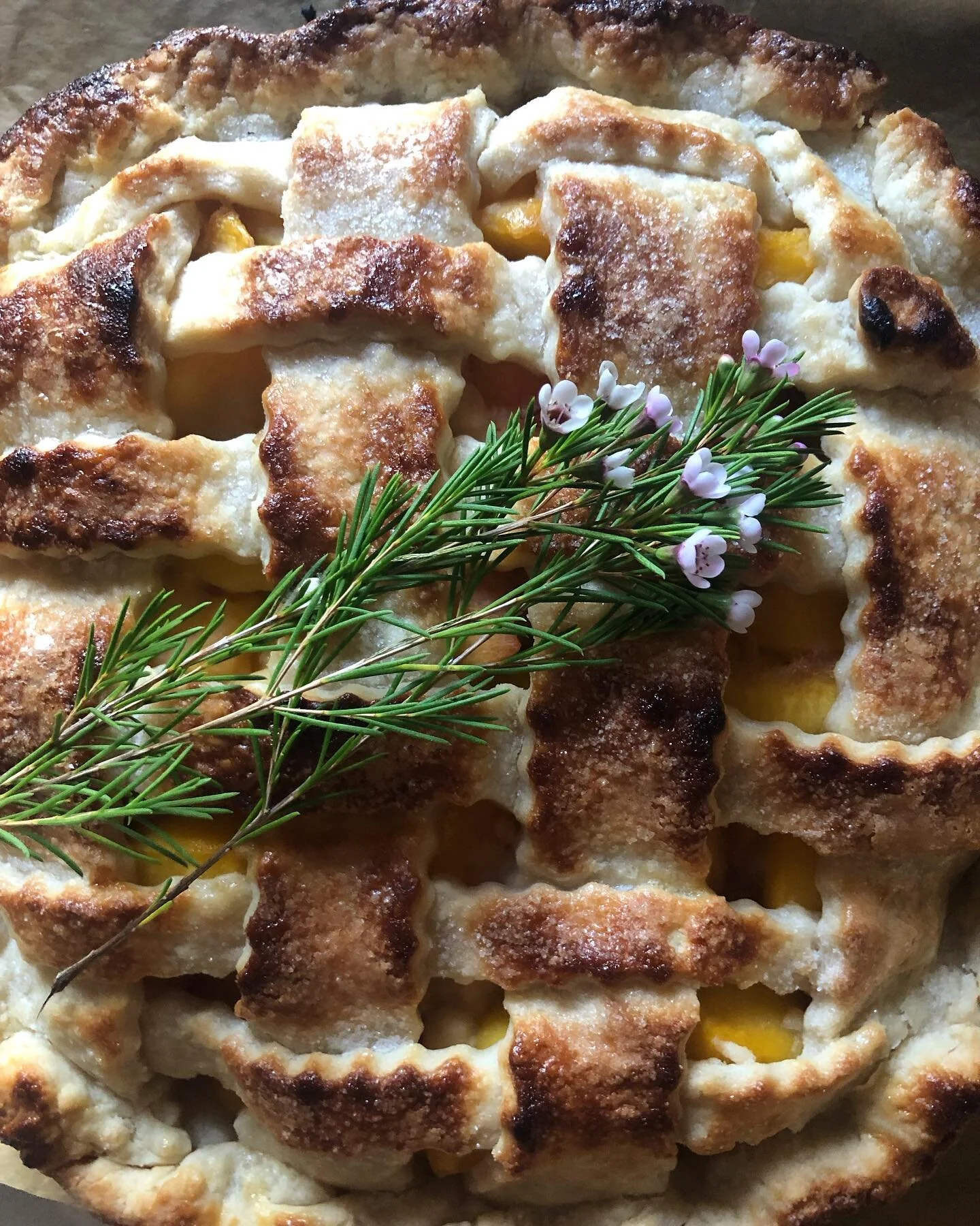 We&rsquo;re not saying it&rsquo;s peach season just yet, but we&rsquo;re not NOT saying that either. 😏🍑

#peach #seasonal #fruits #MN #state #fair #baked #yum #homemade #pie