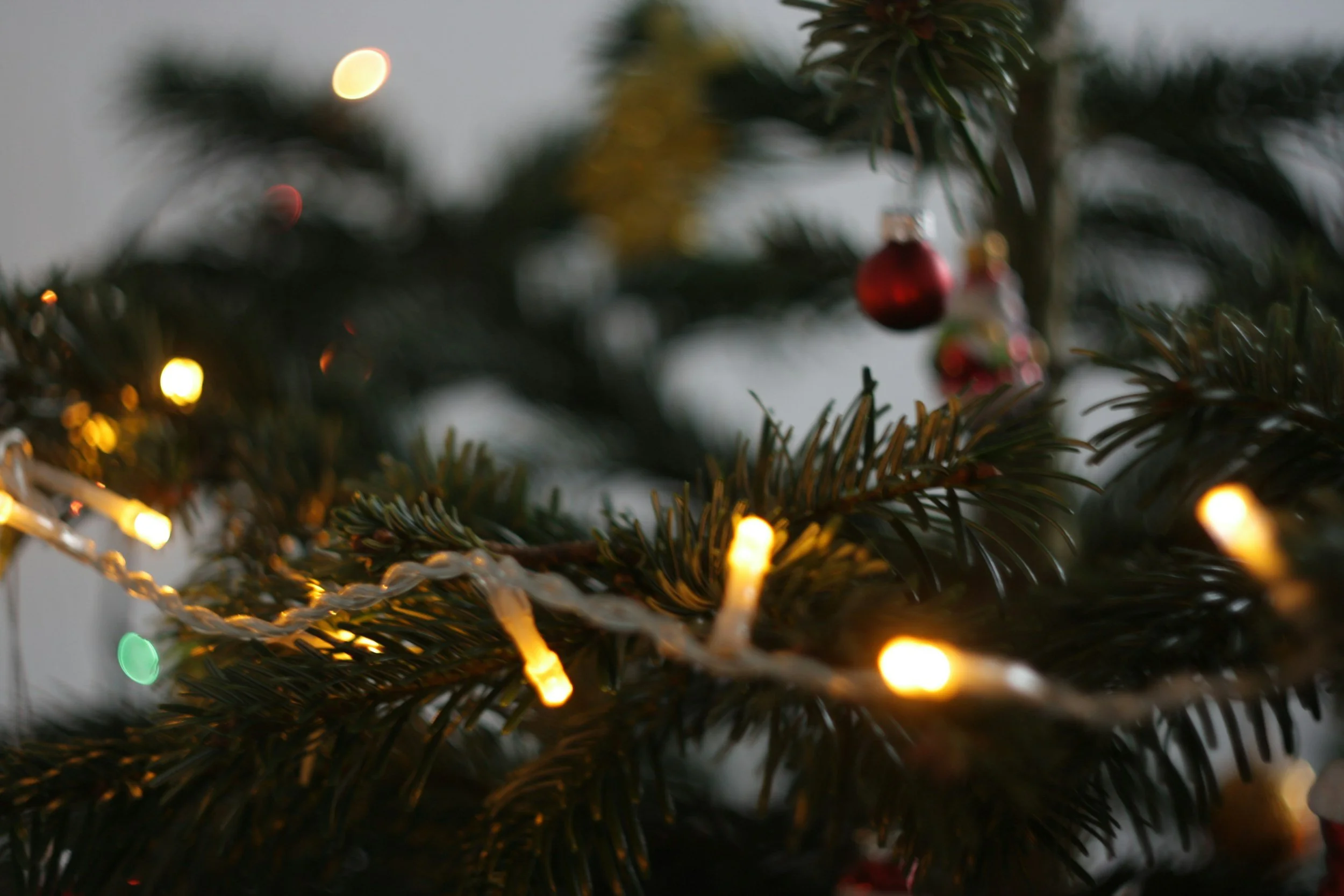 Christmas Eve Chicken Soup & Blessing Giveaway