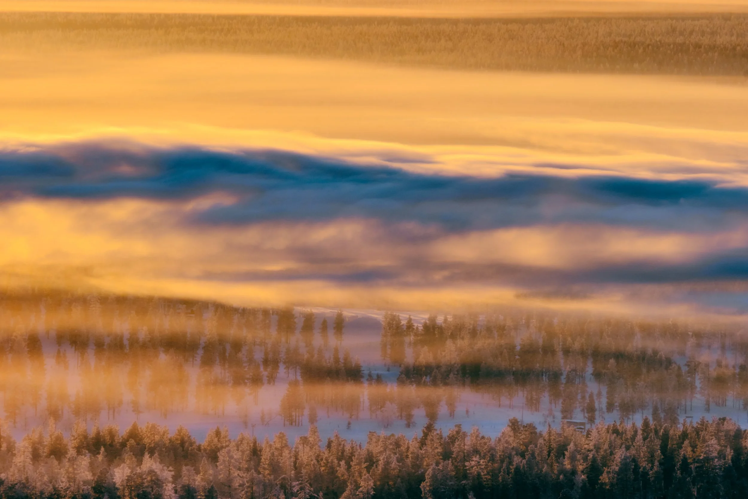 A landscape of rolling hills and a dense forest at sunset, with colorful clouds in the sky.