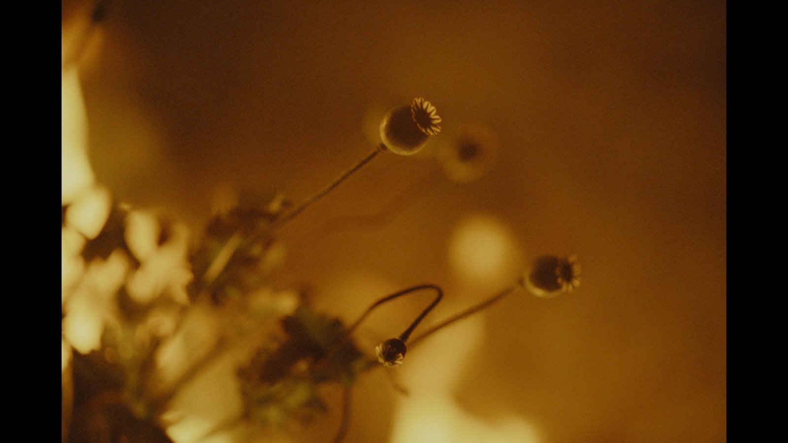 PHOTO-2026-02-02-10-48-38 6.jpg