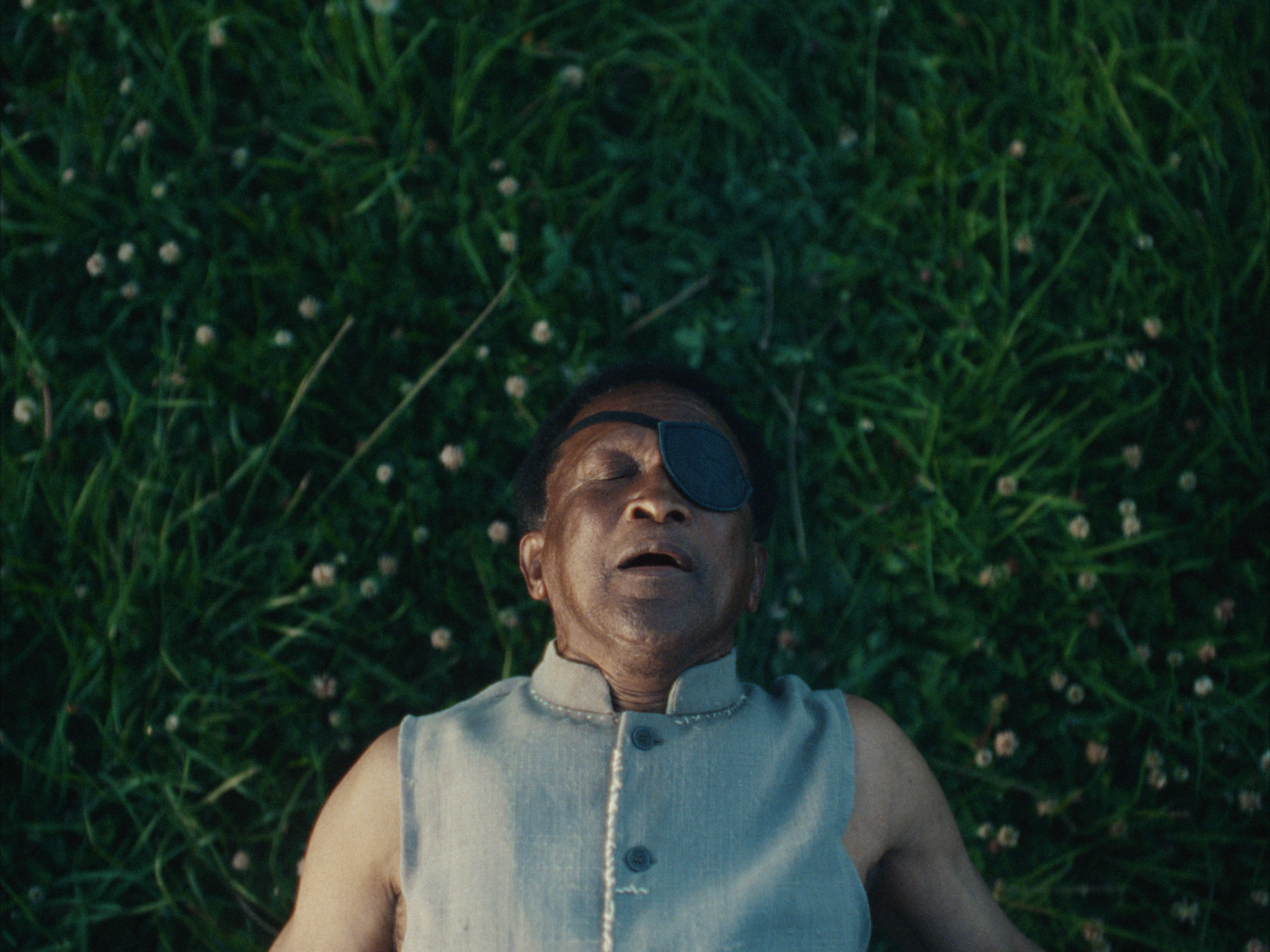STILLS EVERGREEN_1.1.42.PNG
