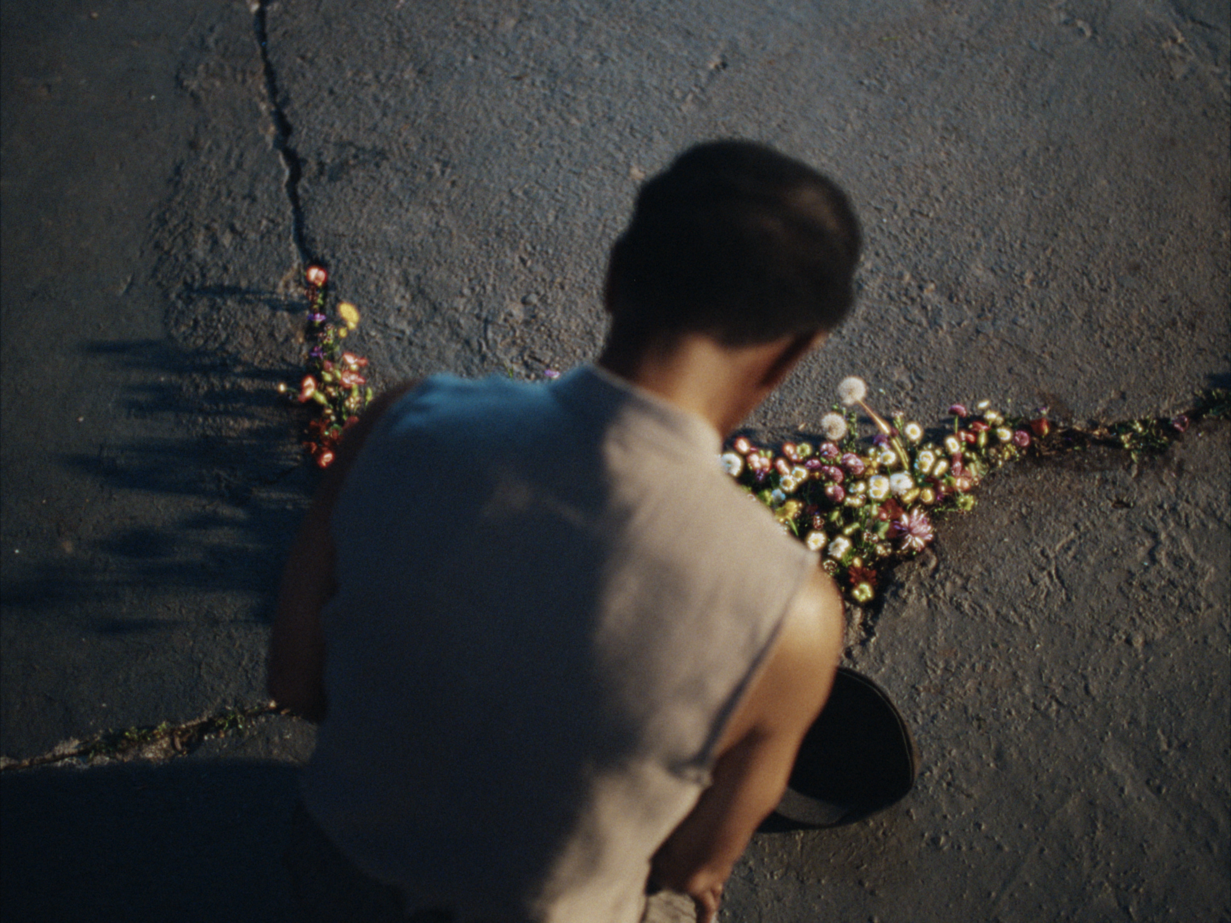 STILLS EVERGREEN_1.1.39.PNG