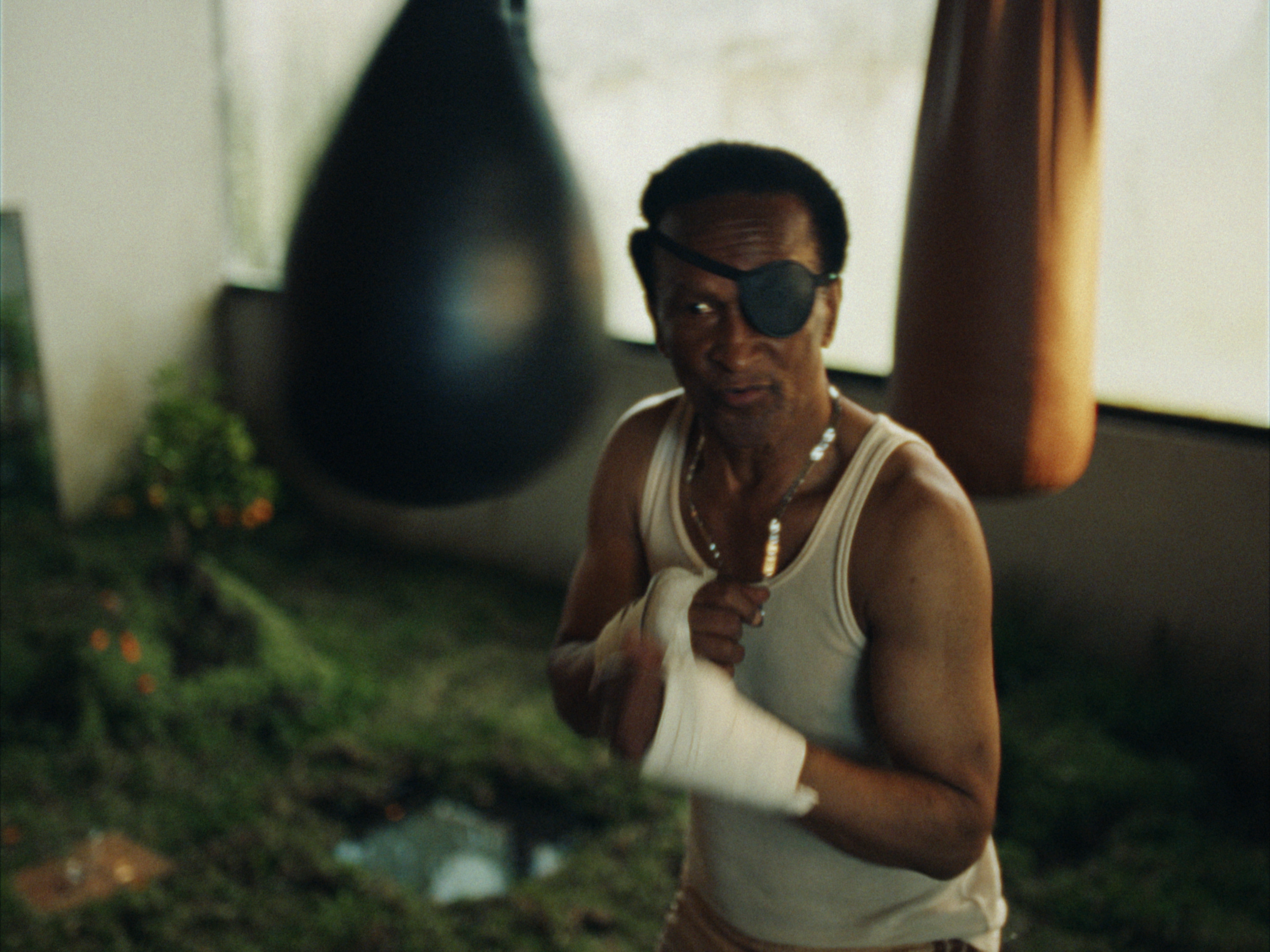 STILLS EVERGREEN_1.1.13.PNG