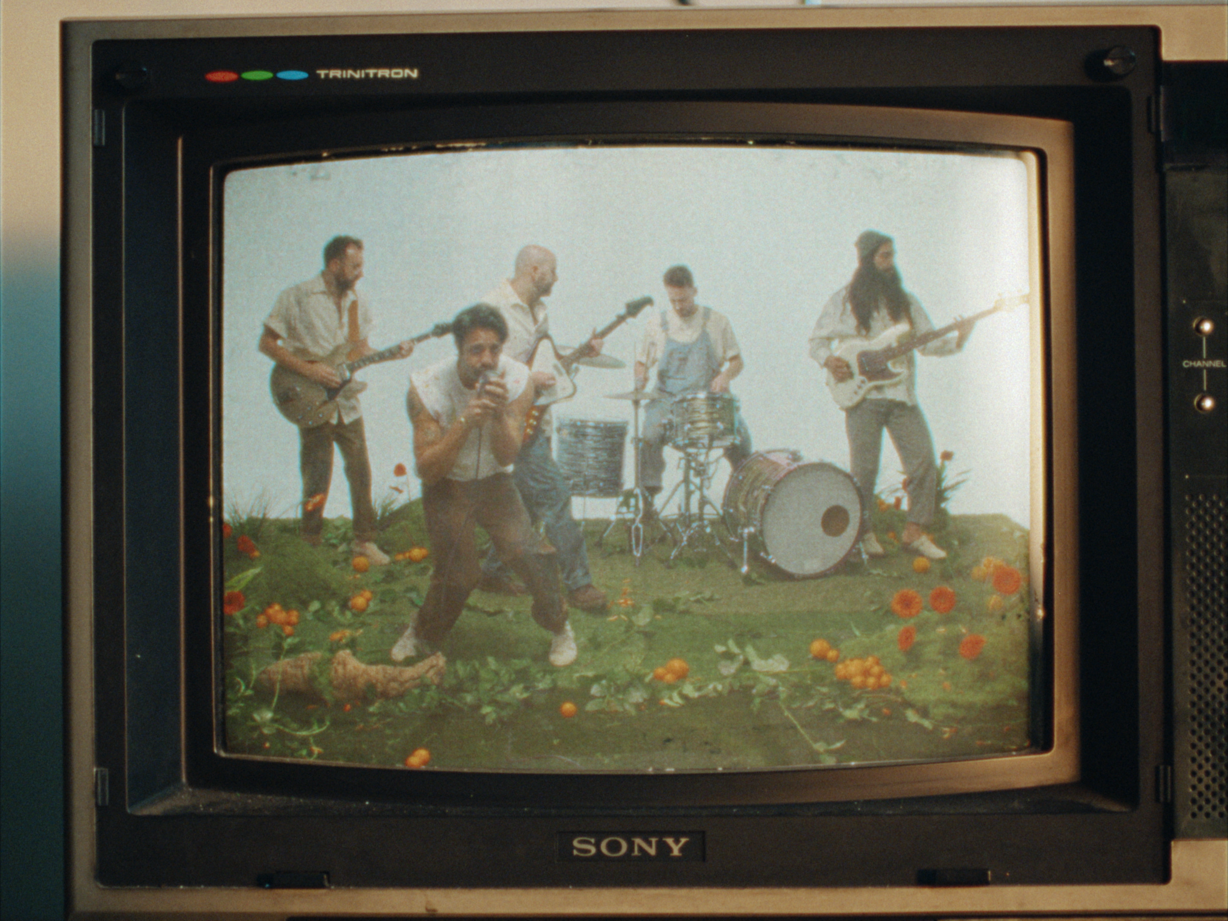 STILLS EVERGREEN_1.1.26.PNG