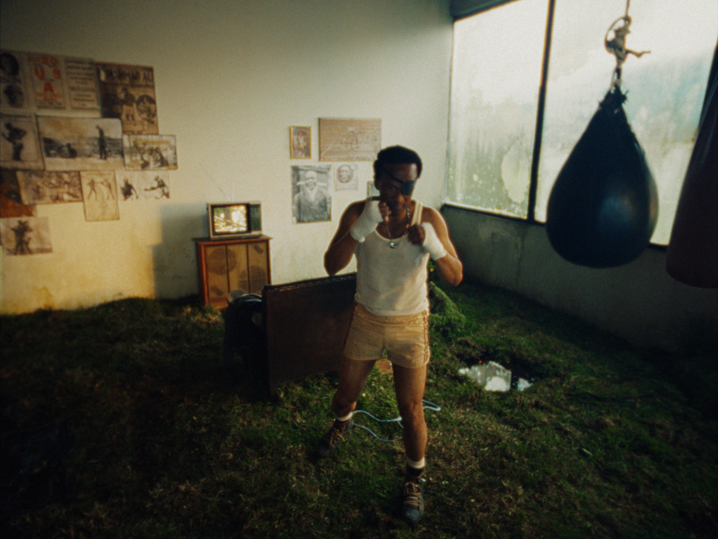 STILLS EVERGREEN_1.1.12.PNG