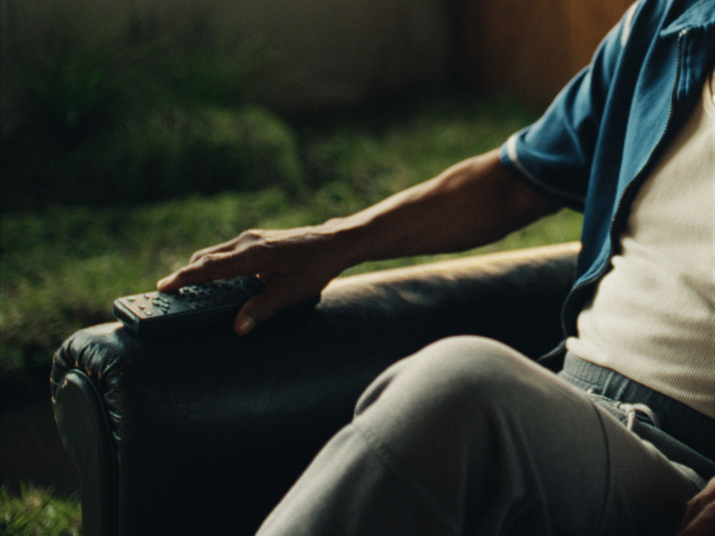 STILLS EVERGREEN_1.1.4.PNG