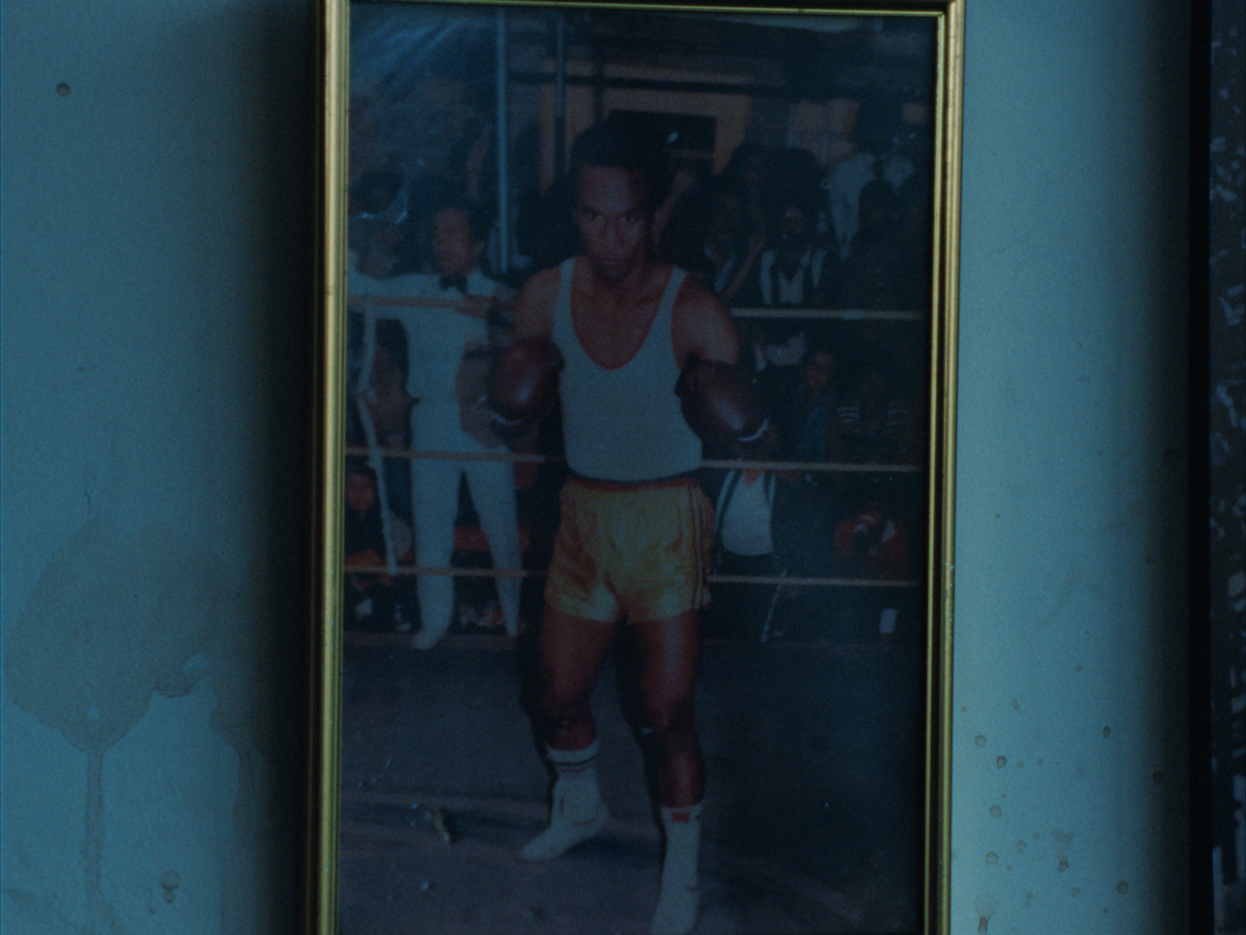 STILLS EVERGREEN_1.1.28.PNG
