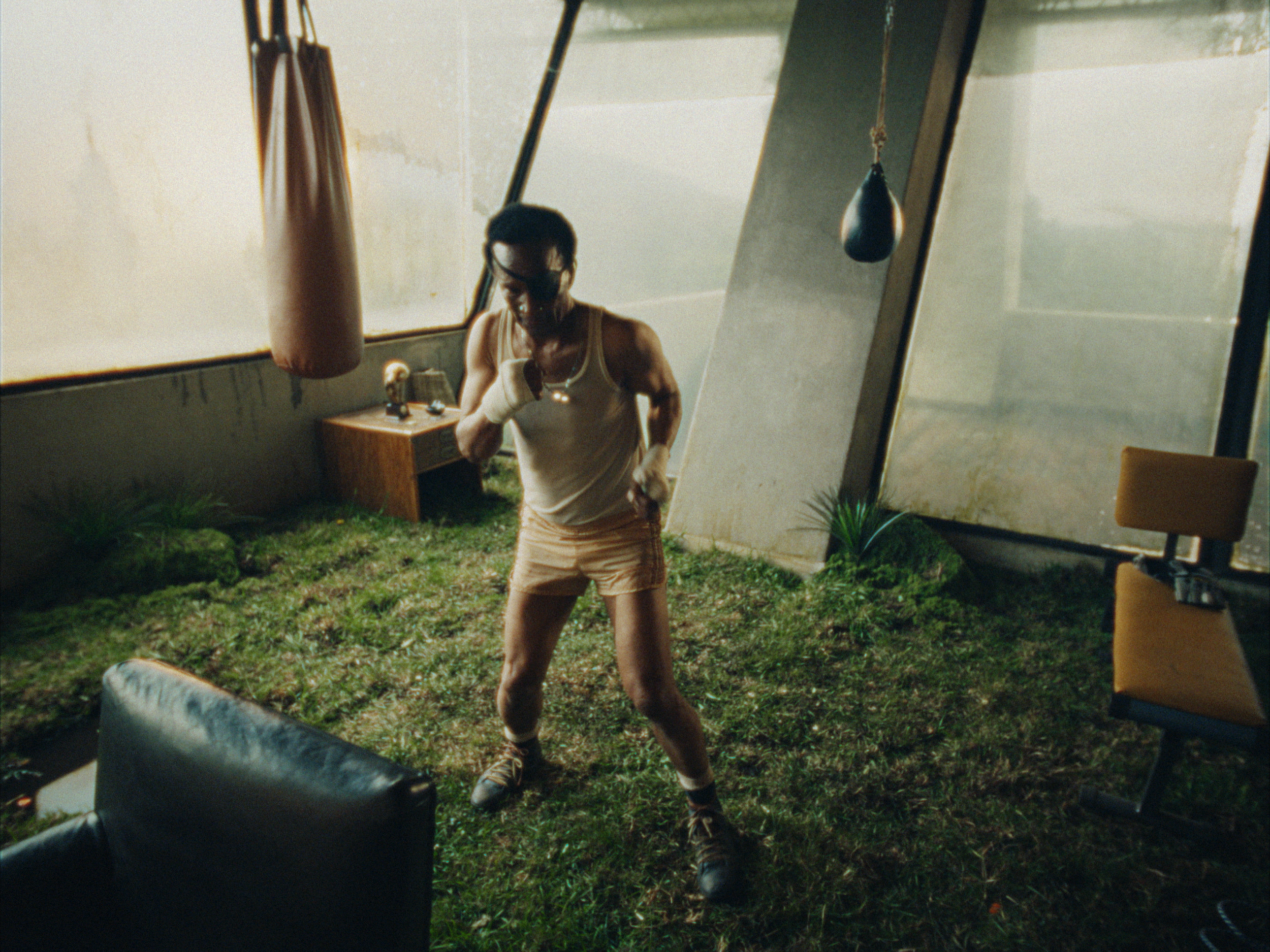 STILLS EVERGREEN_1.1.11.PNG