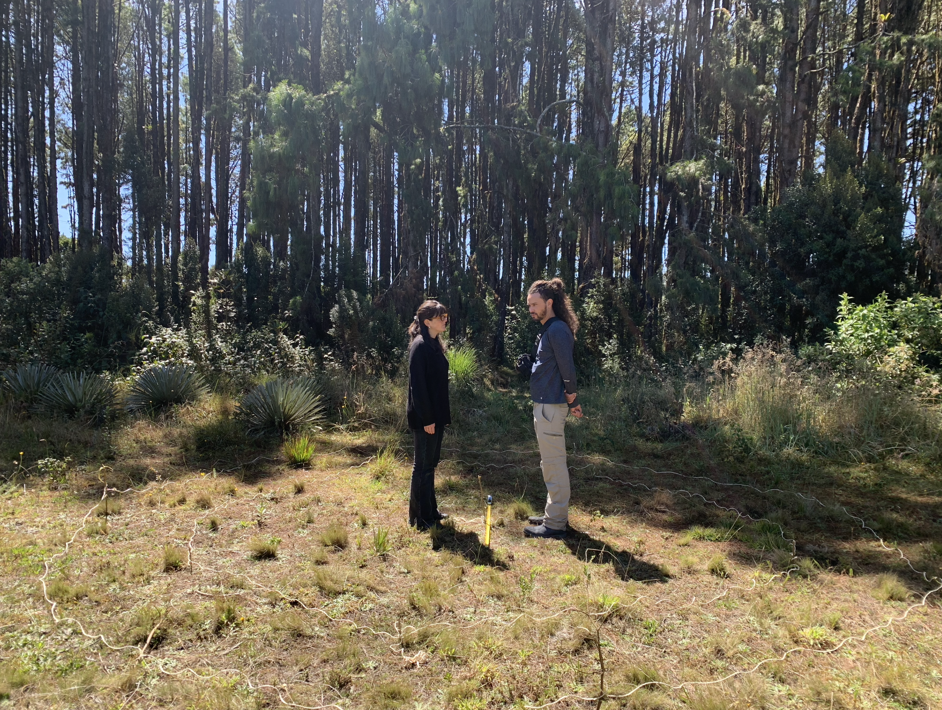 Screen Shot 2023-02-28 at 10.20.10 PM.png