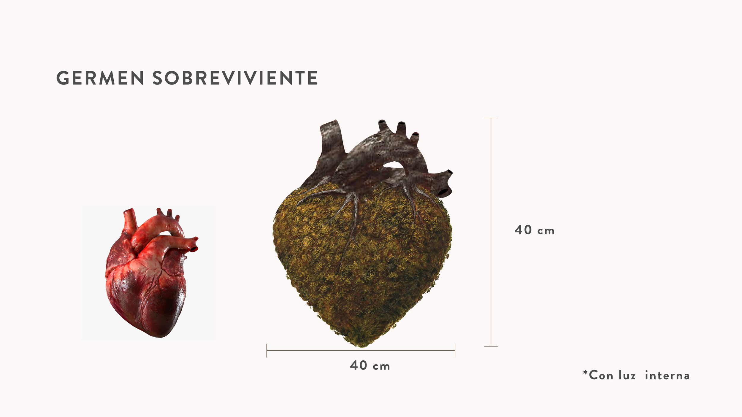 GERMEN ARBOL-21.png