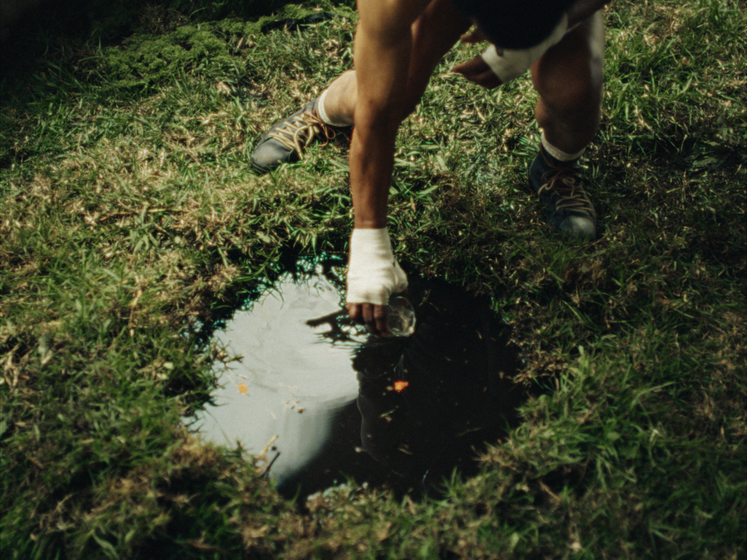 STILLS EVERGREEN_1.1.19.PNG
