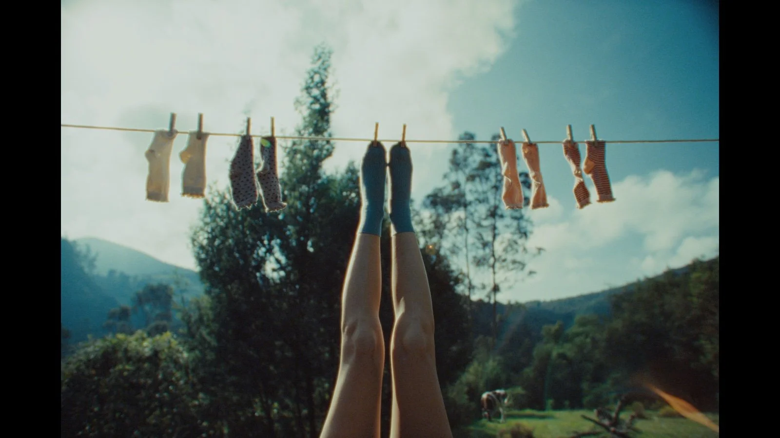 PHOTO-2026-02-02-10-48-37 4.jpg