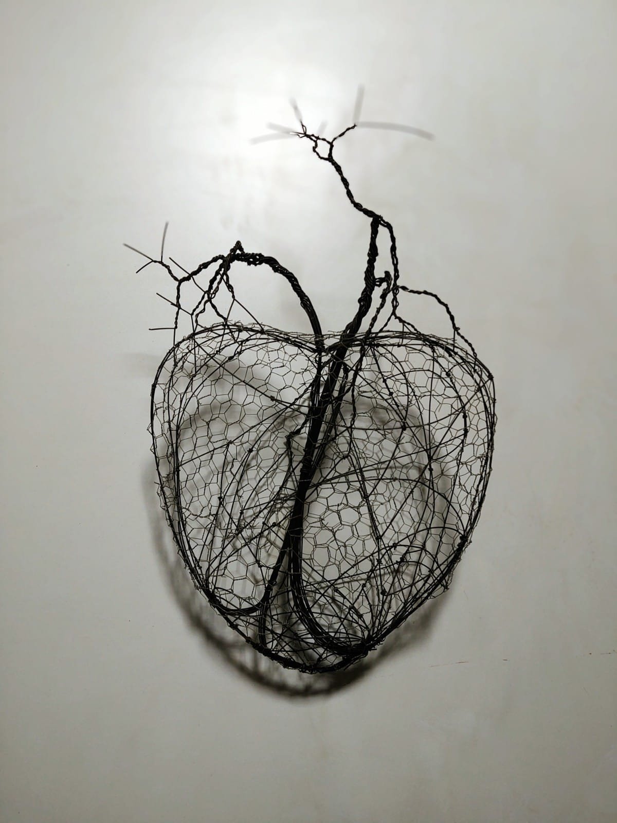 PHOTO-2022-11-21-18-29-04 2.jpg