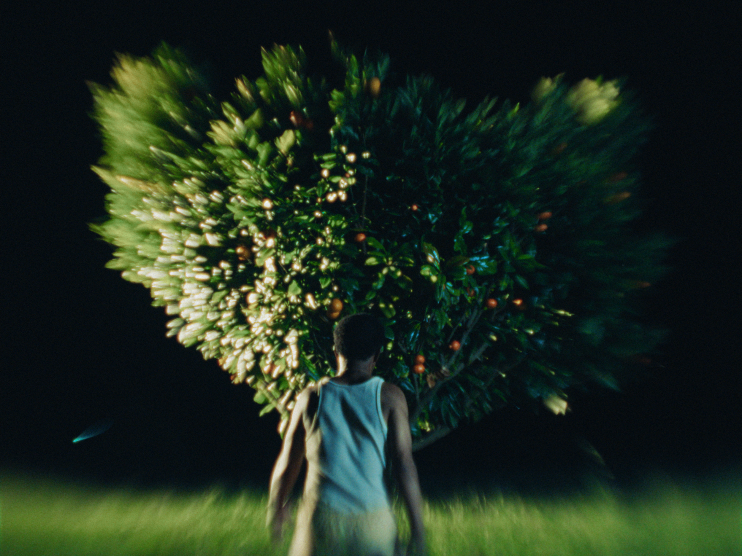 STILLS EVERGREEN_1.1.43.PNG