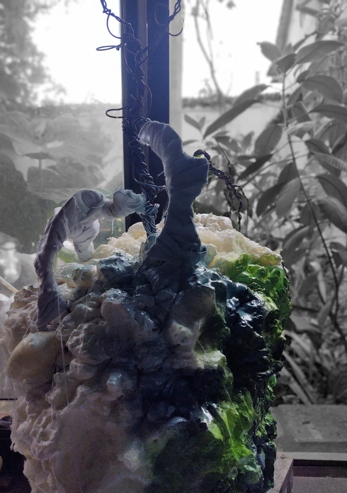 PHOTO-2022-11-21-18-29-03 3.jpg