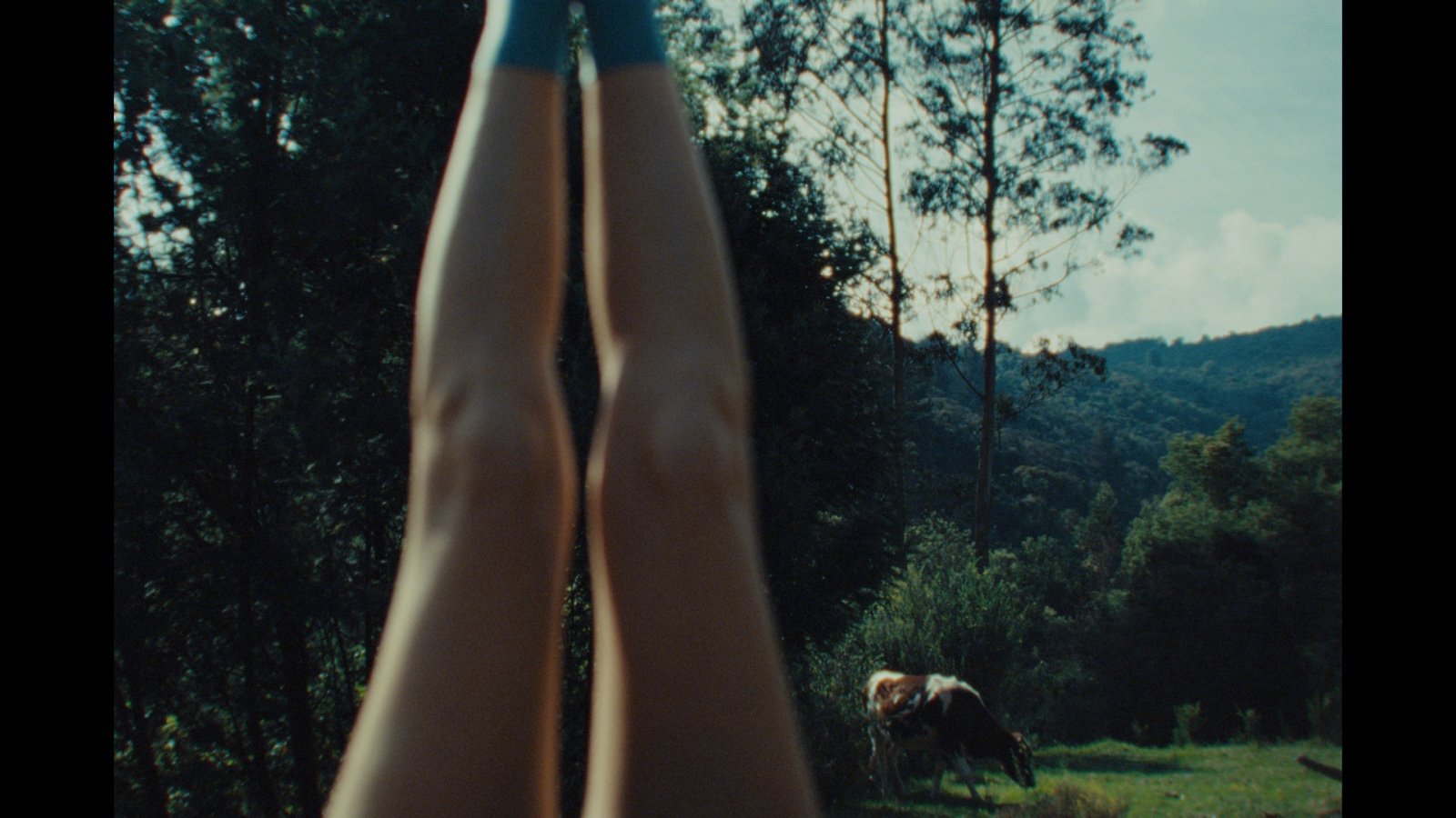 PHOTO-2026-02-02-10-48-37 3.jpg