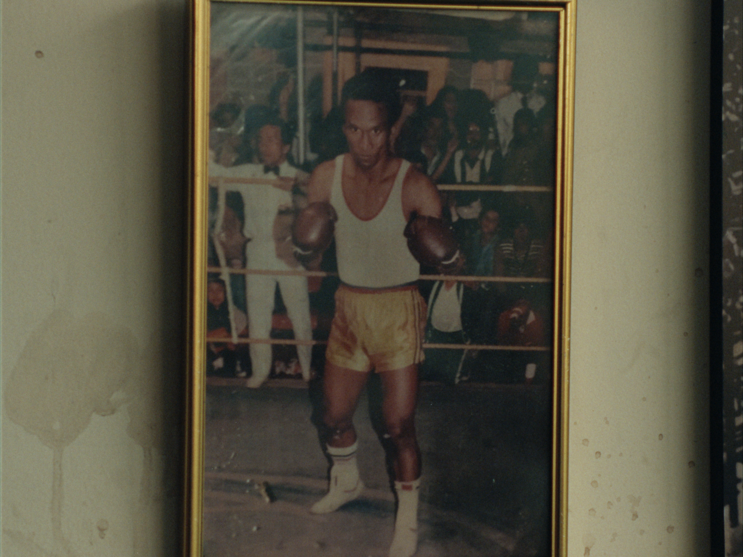 STILLS EVERGREEN_1.1.14.PNG