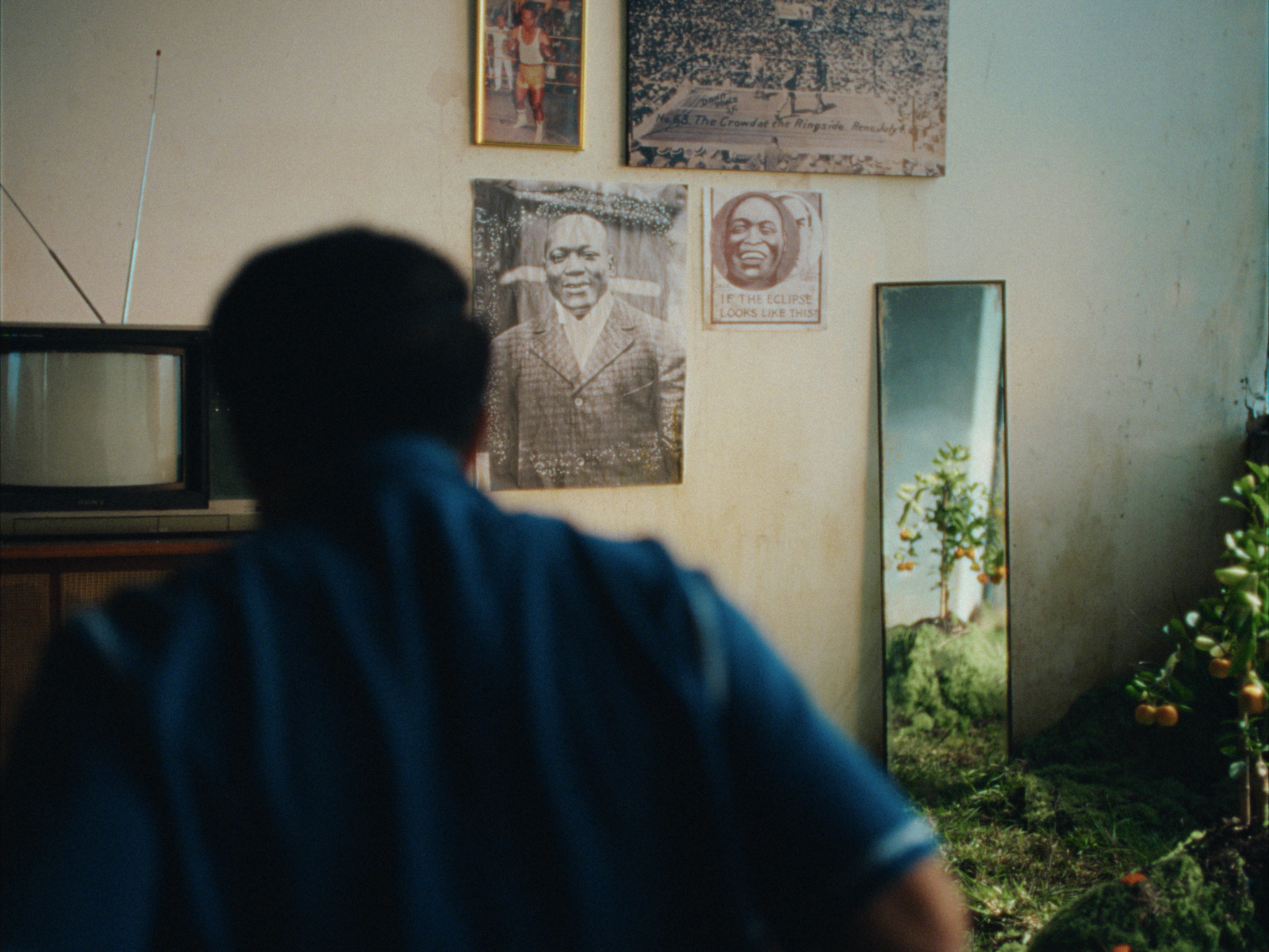 STILLS EVERGREEN_1.1.1.PNG