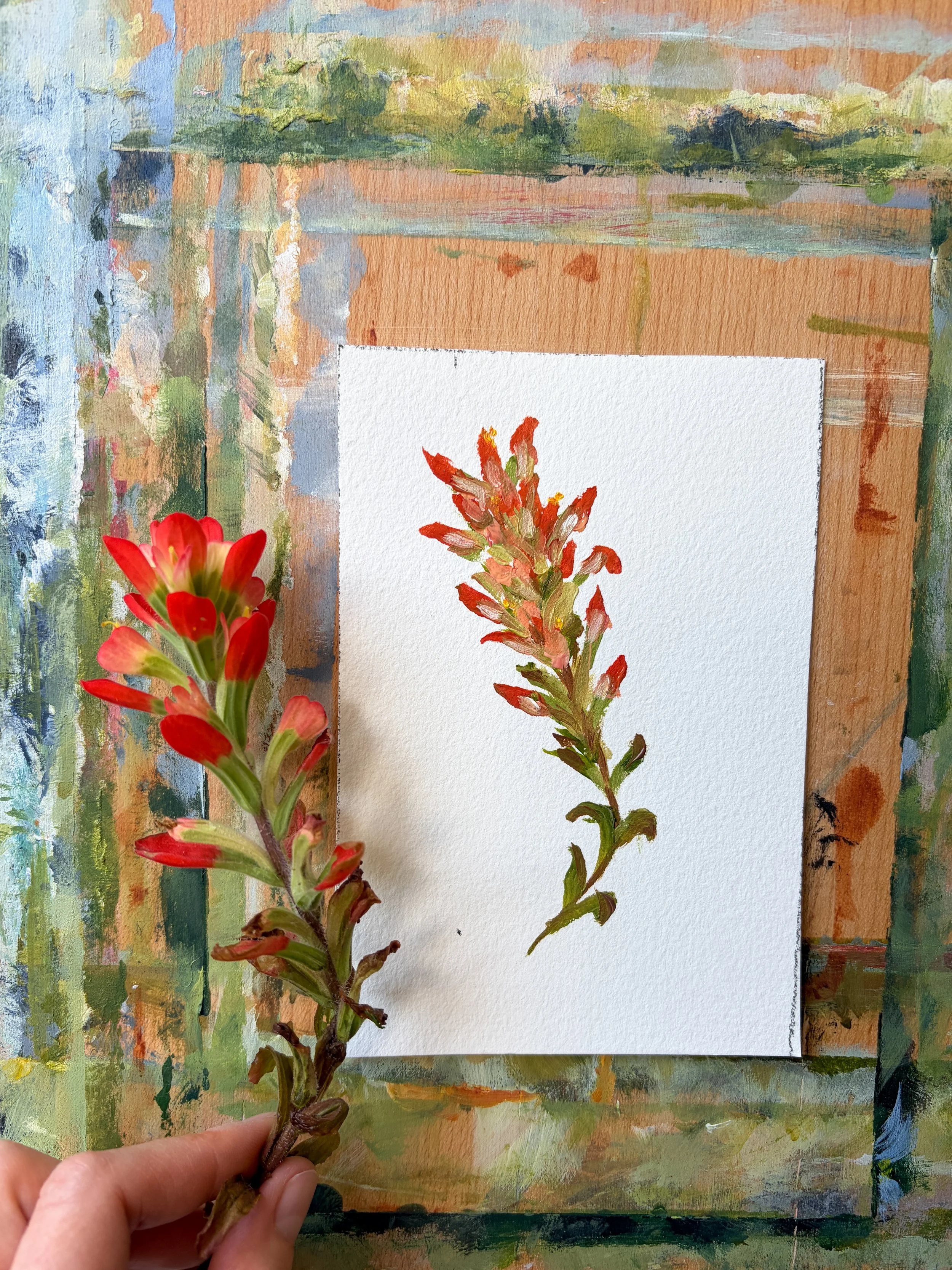Summer Wildflower Studies, No. 9