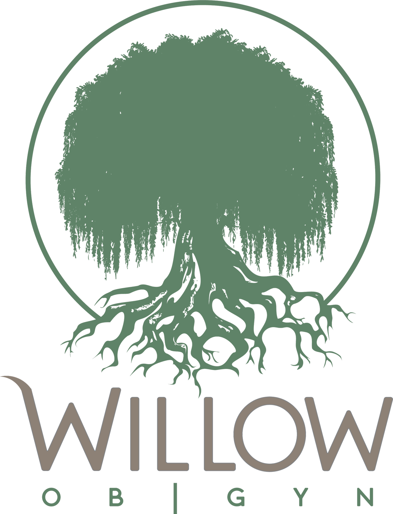 Willow obgyn