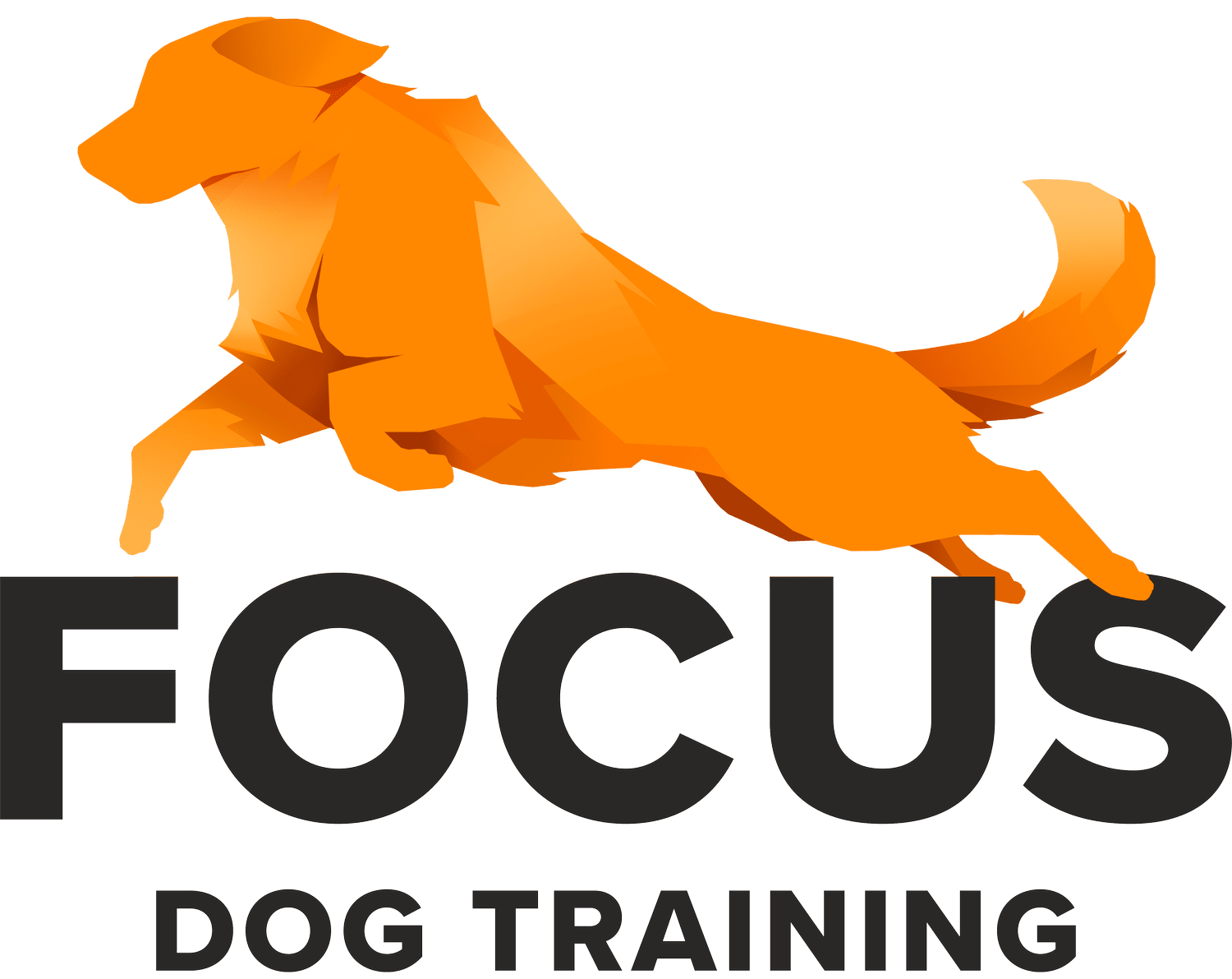 Focus Dog Training