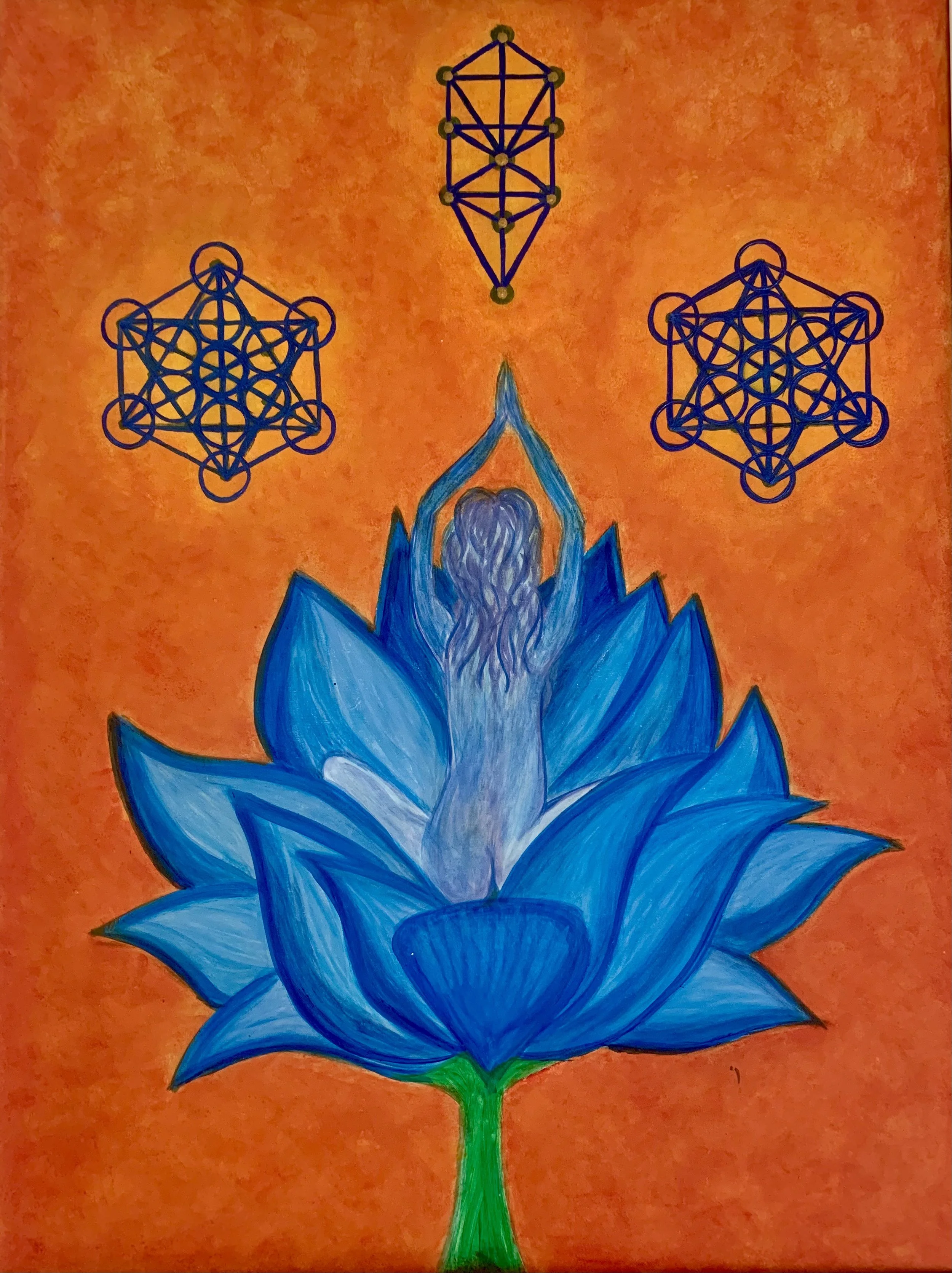 Blue Lotus