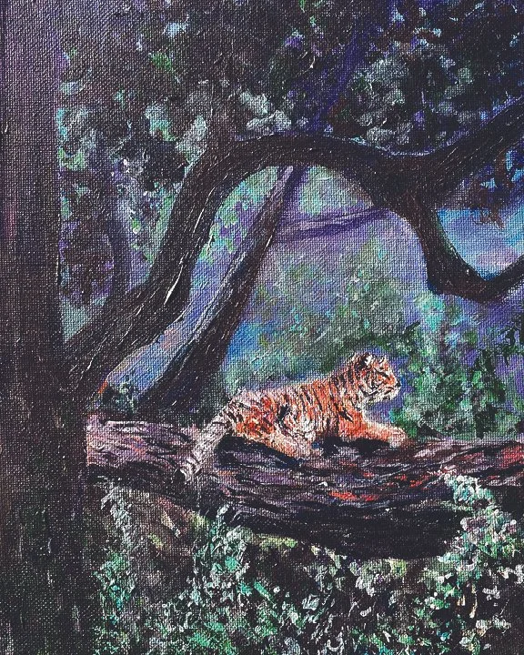 Where the Tiger Dreams