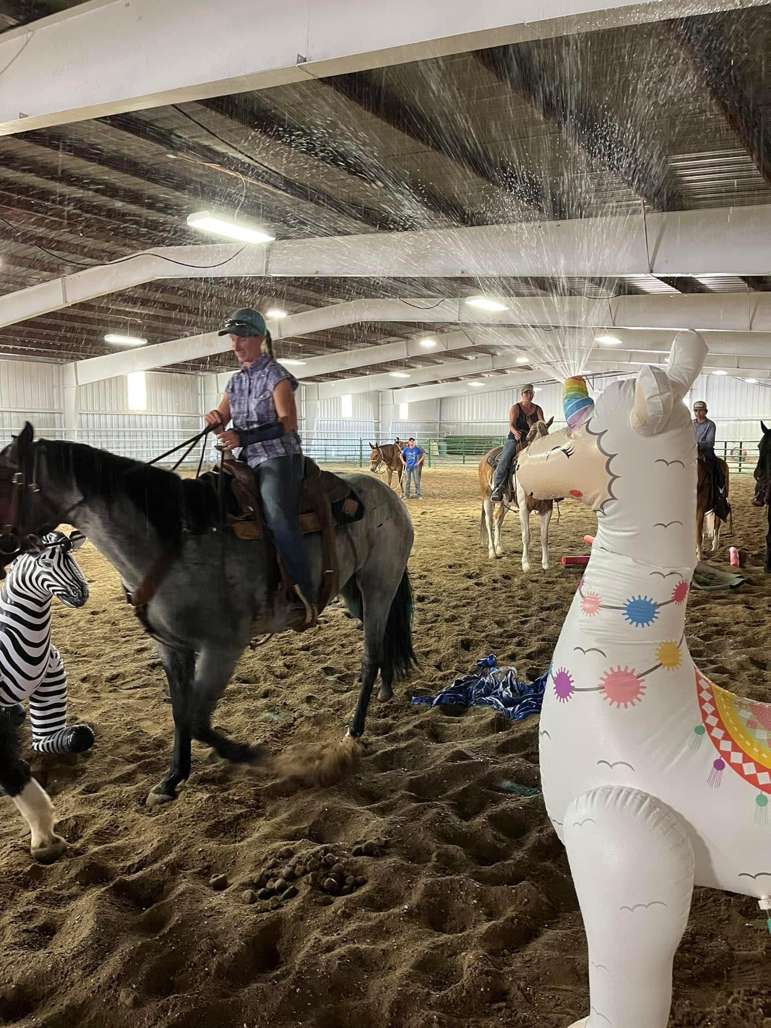 Confidence Course for riders.JPG