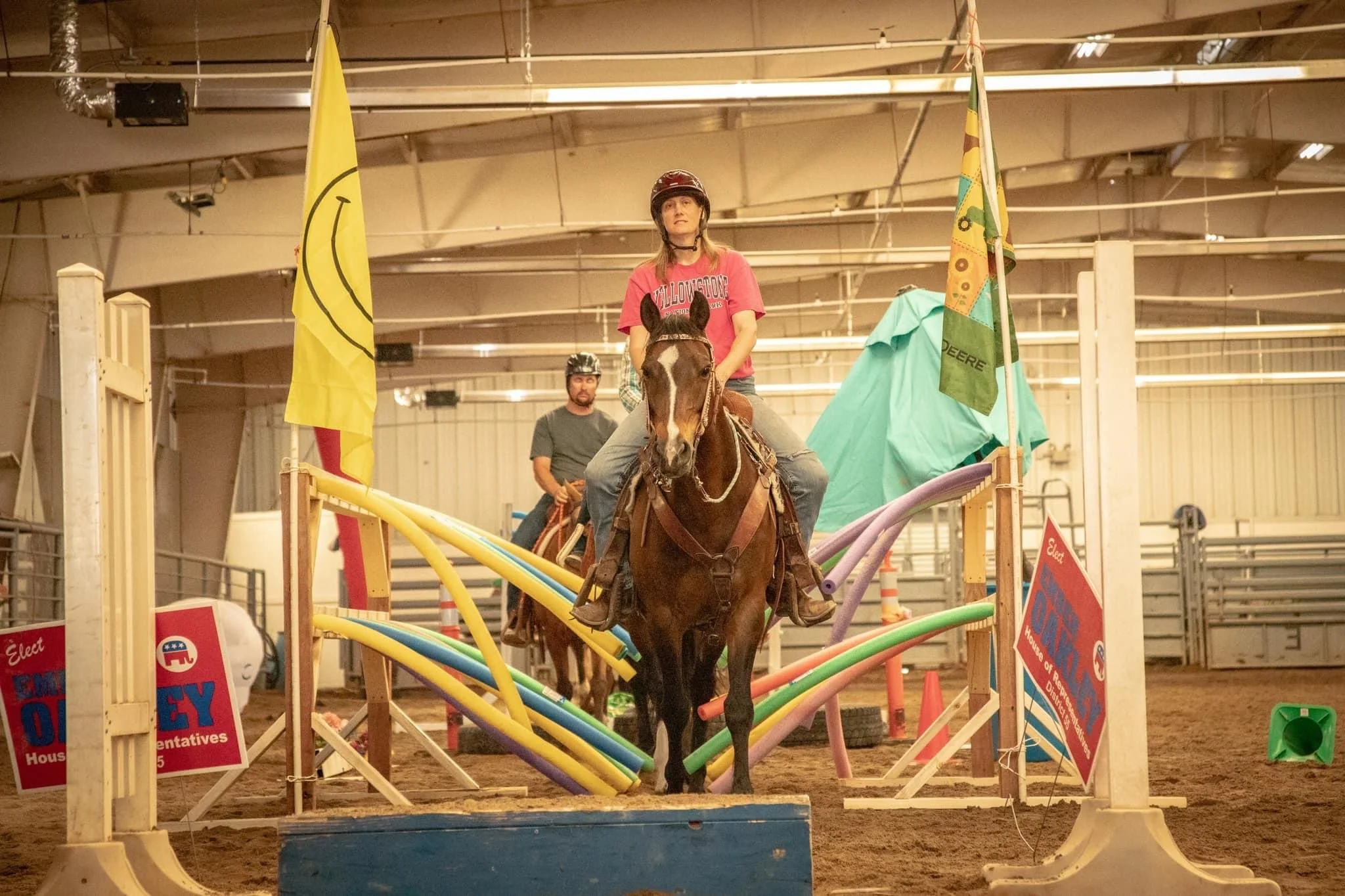 confident horses in Wyoming.JPG