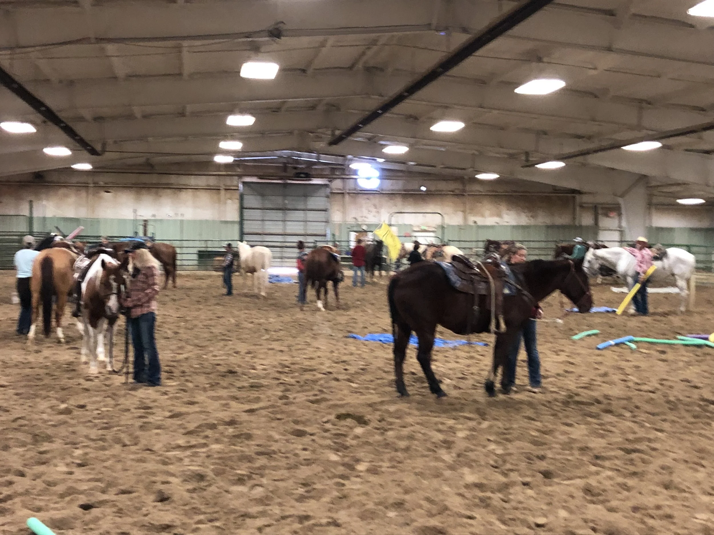 Confidence Course taught by Sara Lowe of Sagebrush Training.JPG