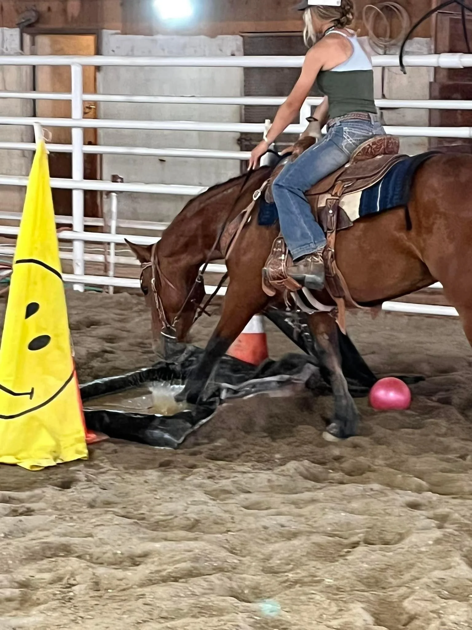 how to teach a horse to be confident.JPG