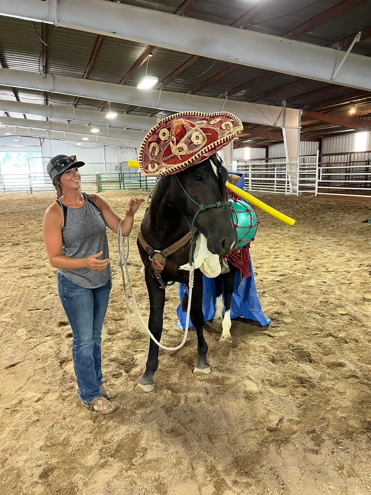 how to train a confident horse.JPG