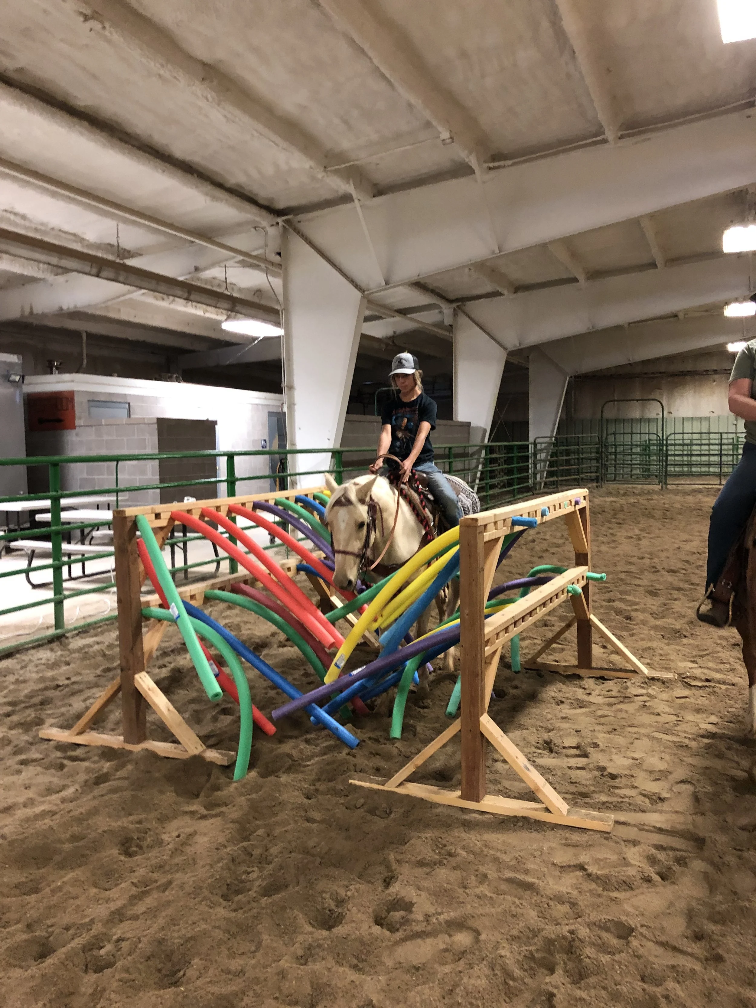 Make confident horses.JPG