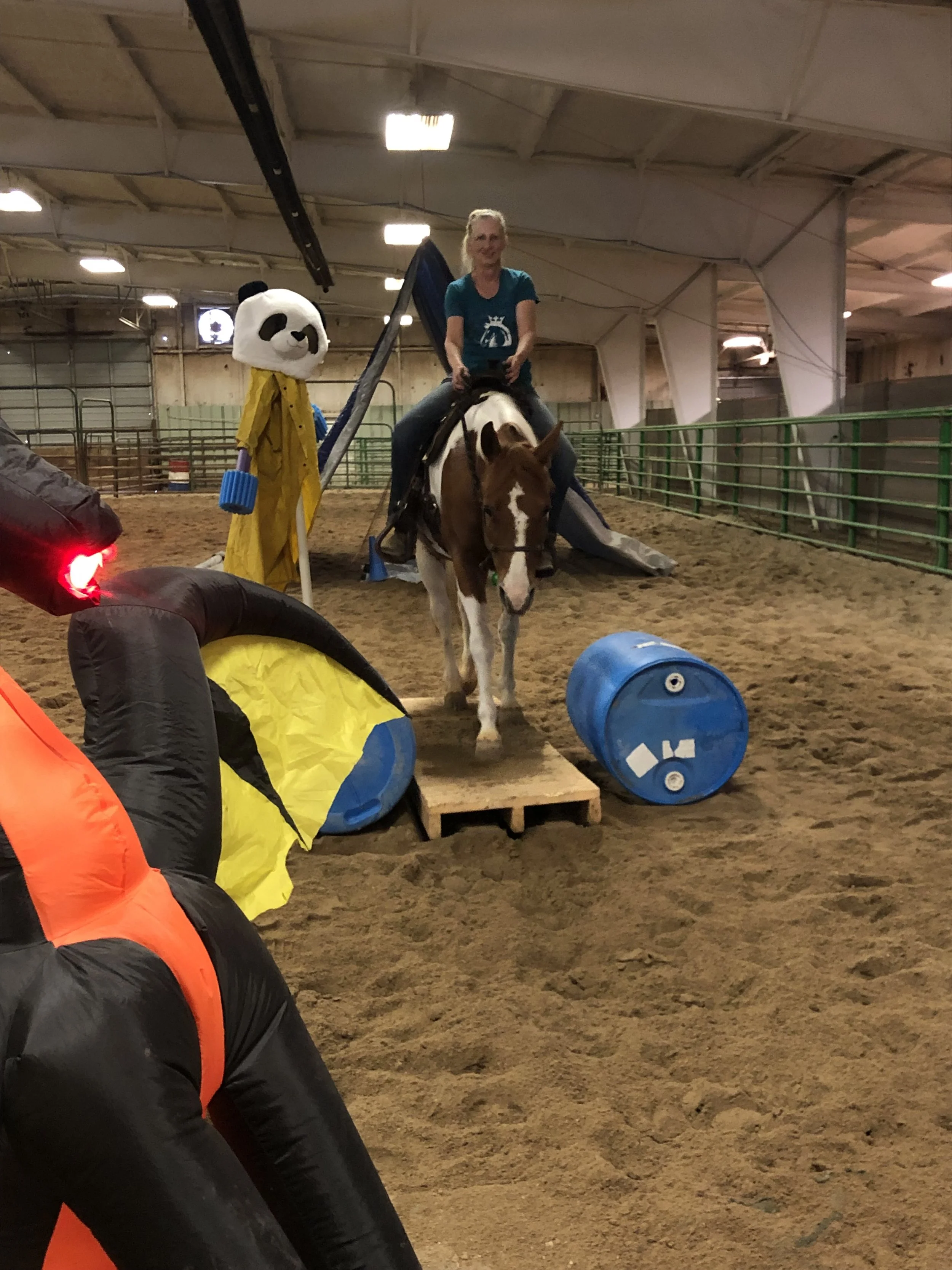 Wyoming Horse Class.JPG