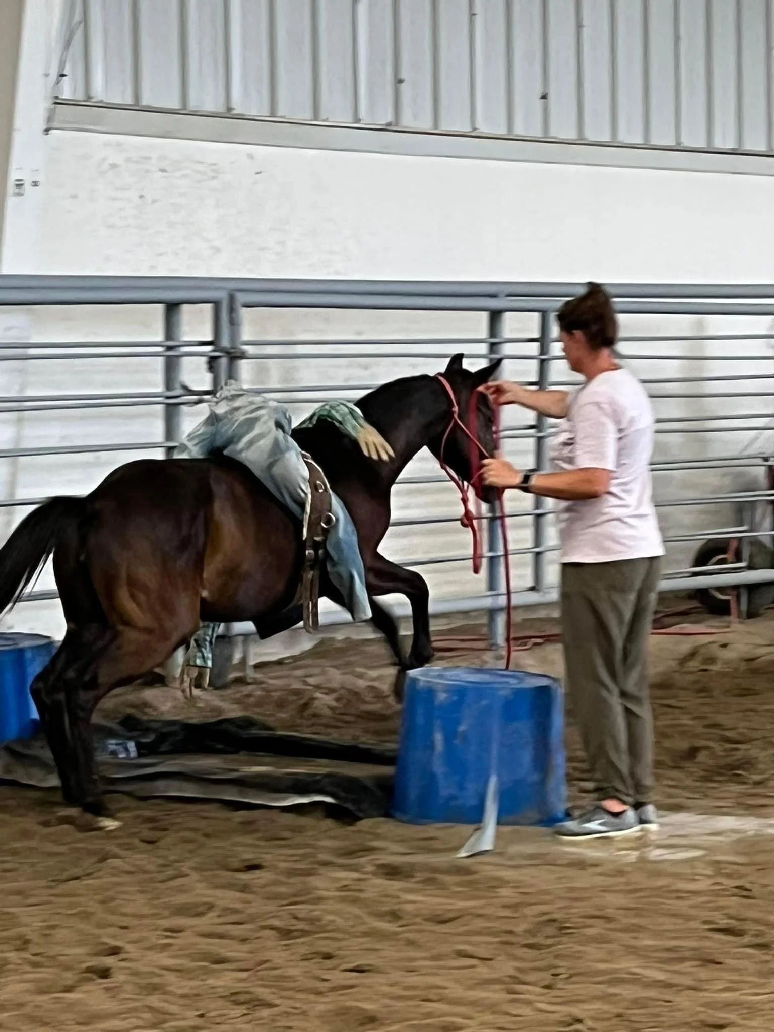 Colt Clinic in Wyoming.JPG