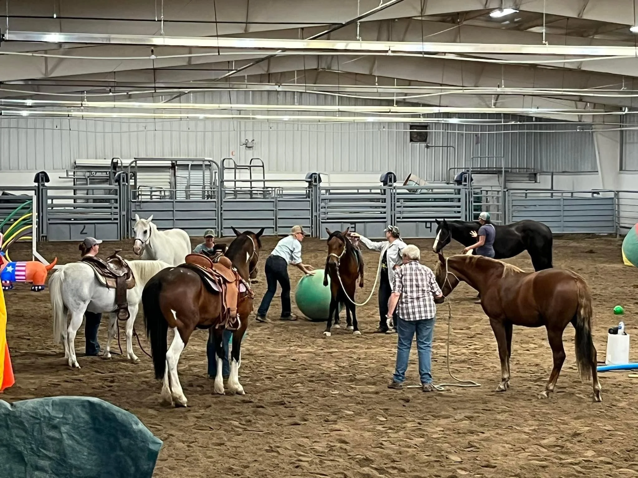 Sagebrush Training instills confidence in colts.JPG